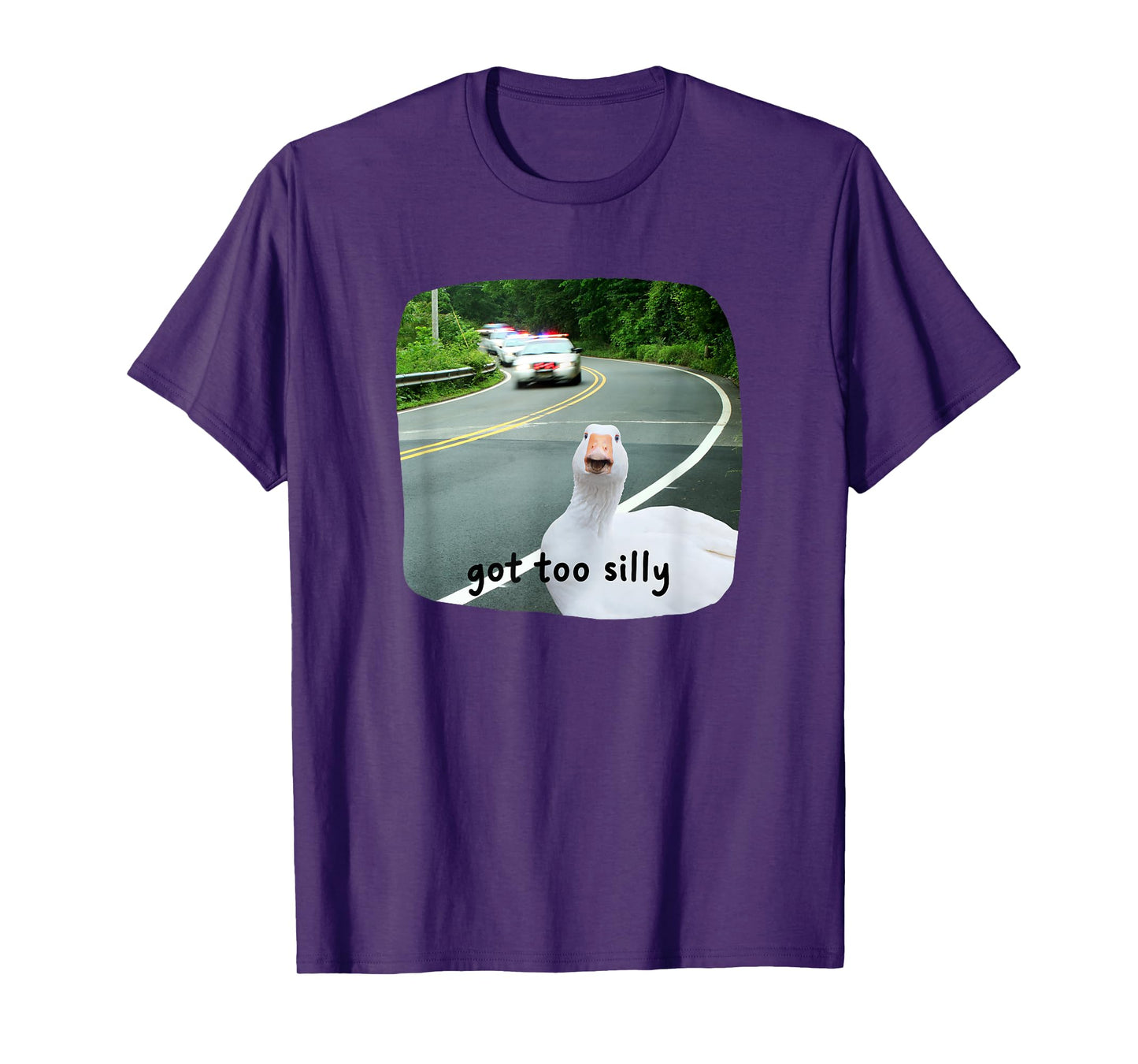 Funny Silly Goose Got Too Silly Cute Meme Women Kids Youth T-Shirt