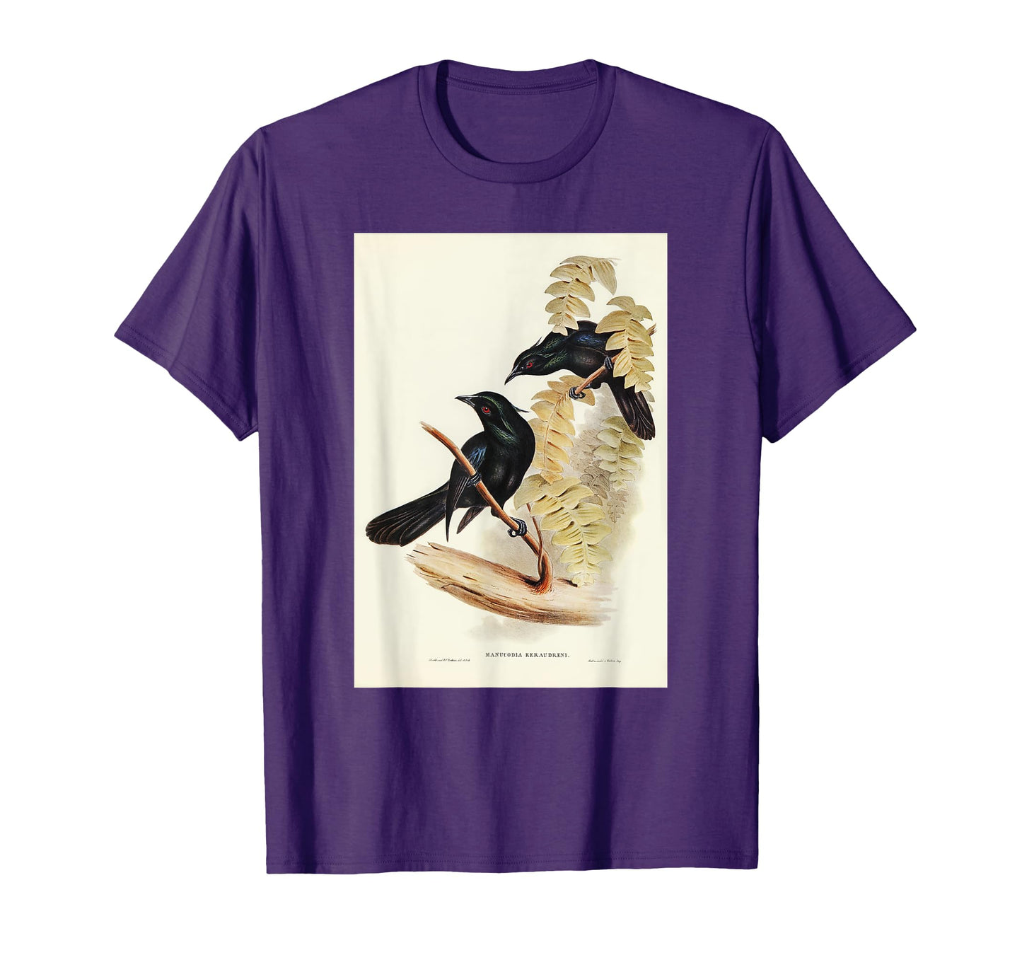 Keraudren's Crow-Shrike Birds Illustration For Men & Women T-Shirt