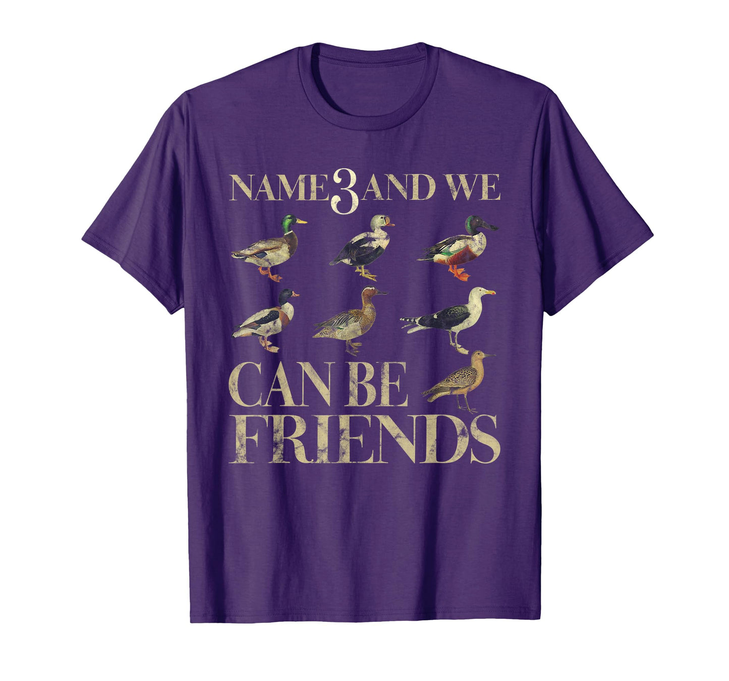 Name 3 And We Can Be Friends Funny Duck T-Shirt