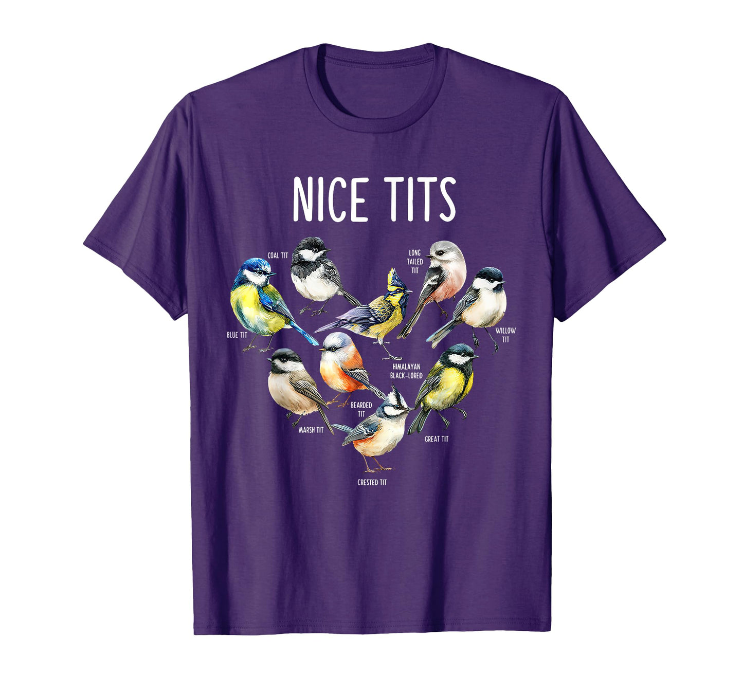 Retro Funny Nice Tits Birds Birdwatcher Bird Watching Humor T-Shirt