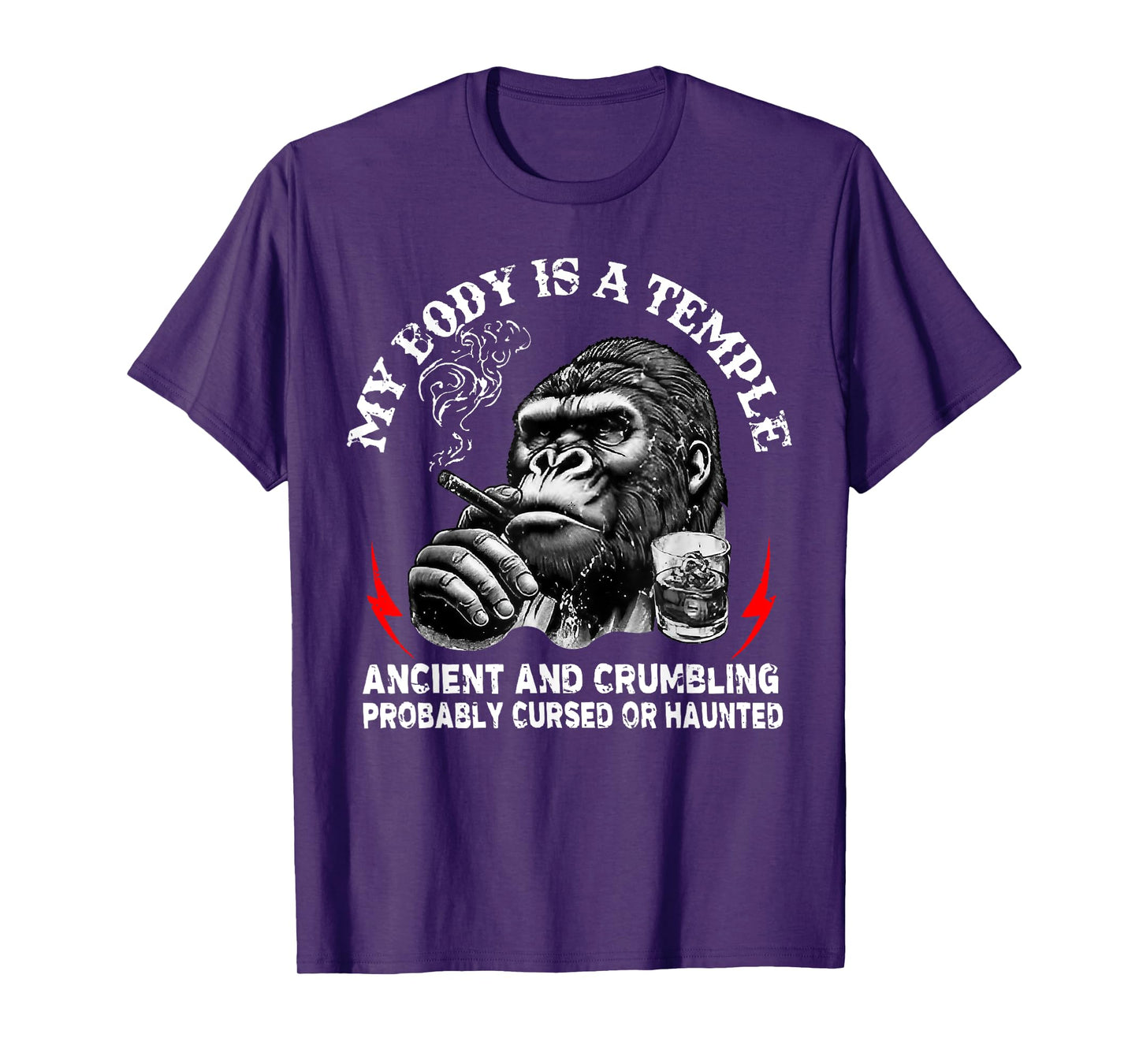 My Body is A Temple Ancient and Crumbling Monkey Funny Humor T-Shirt