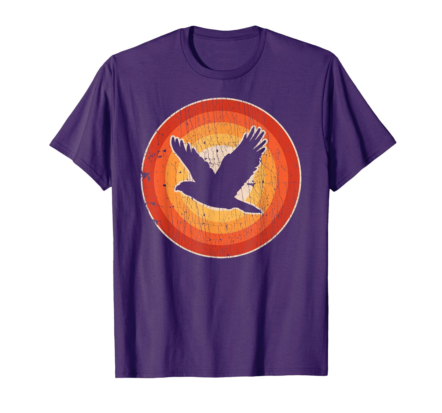 Falcon Retro Vintage 60s 70s Sunset Bird Lovers Men Women T-Shirt