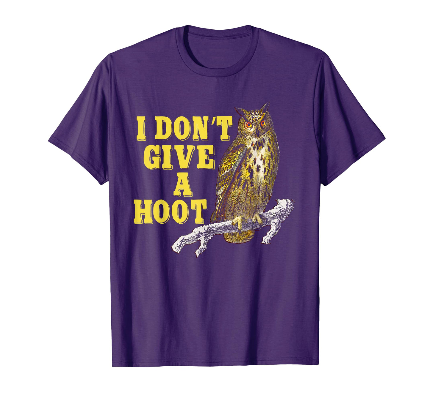 I Don't Give A Hoot Give A Hoot T Shirt Owl Lover Funny Owls T-Shirt