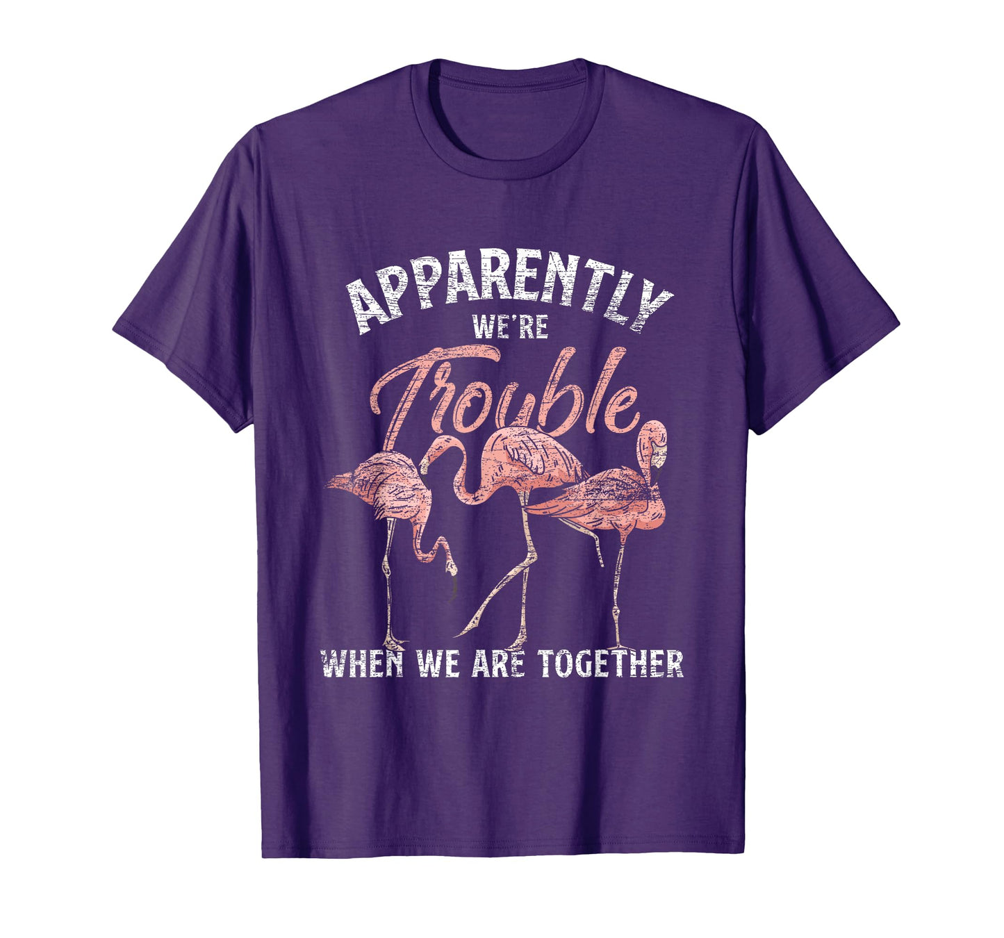 Apparently We Are Trouble When We Are Together Flamingo T-Shirt