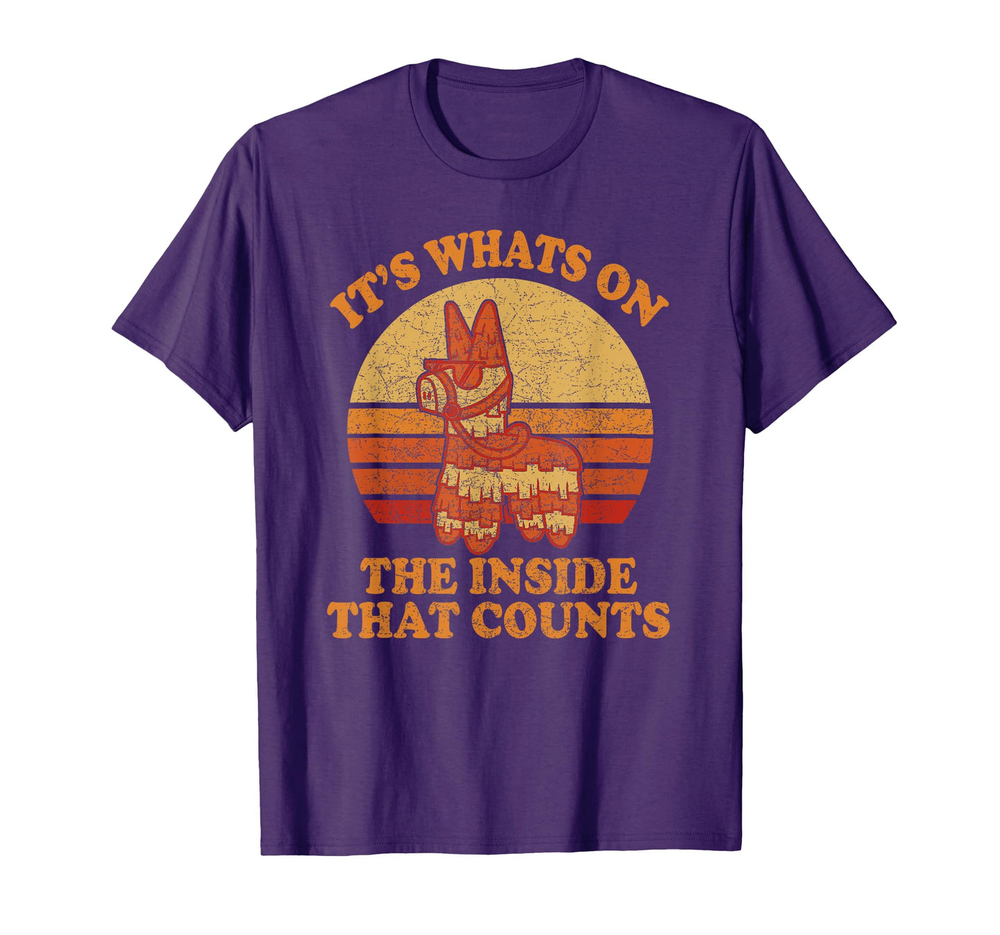 Its Whats on the Inside that Counts - Retro Donkey Pinata T-Shirt