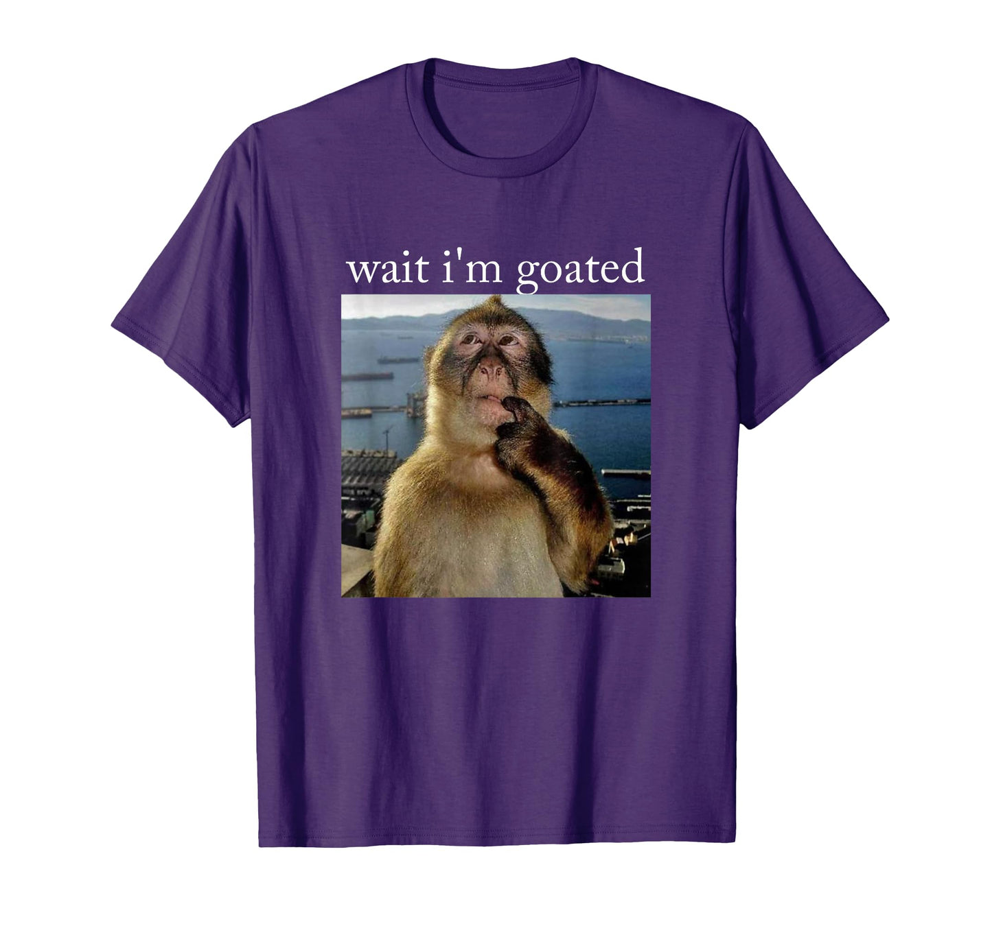 Wait I'm goated Funny Thinking Monkey Meme Brainrot Gen z T-Shirt