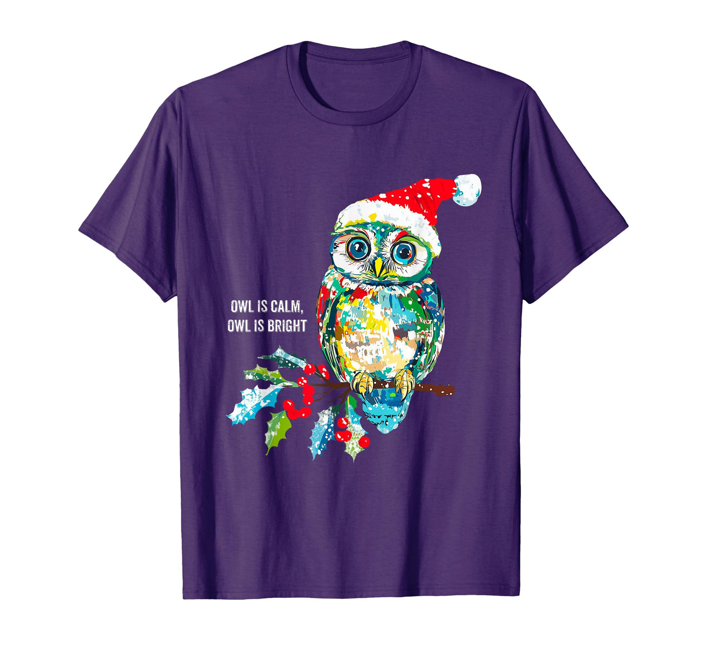 Funny Owl Wearing Santa Claus Hat Christmas Holiday Meme T-Shirt