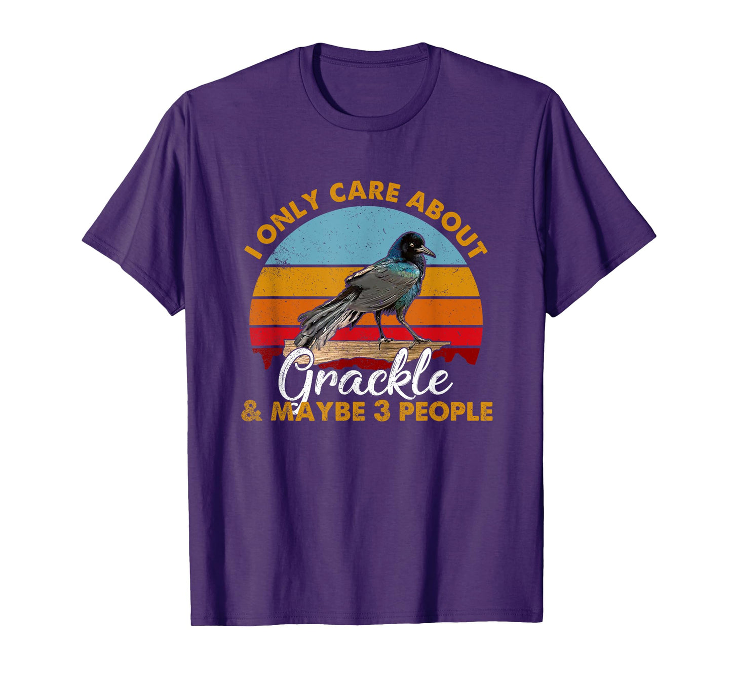 Retro Style Sunset Grackle T-Shirt
