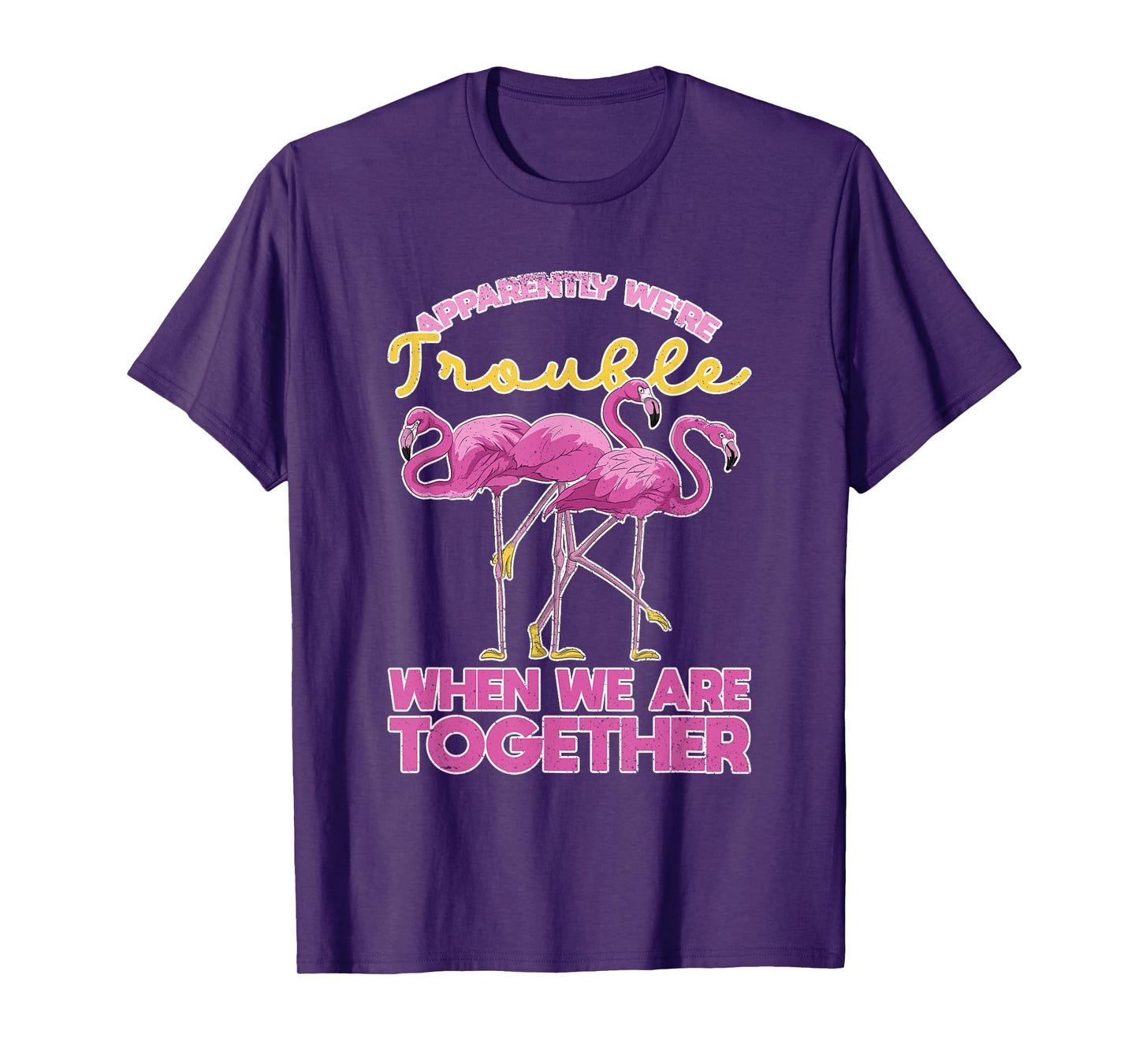 Apparently Were Trouble When We Are Together Funny Flamingo T-Shirt