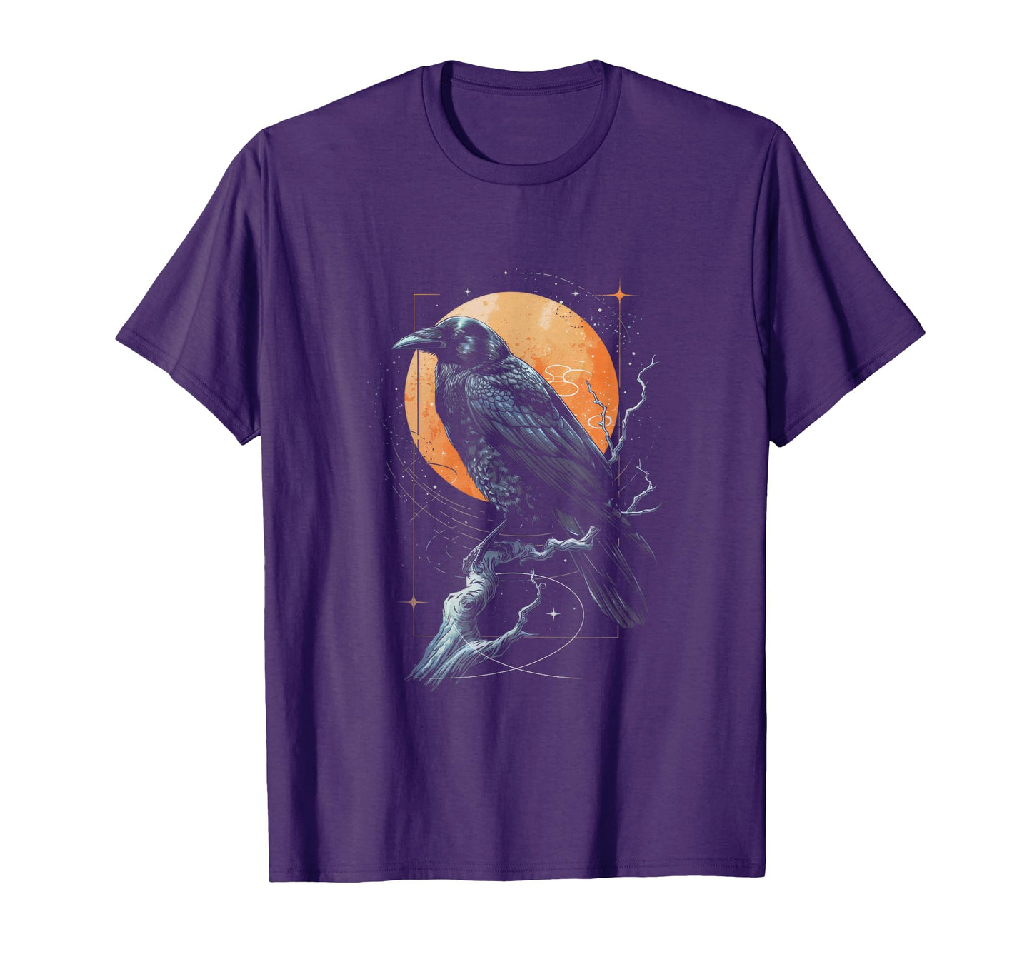Raven Crow Dark Bird Witchcraft Omens Midnight T-Shirt
