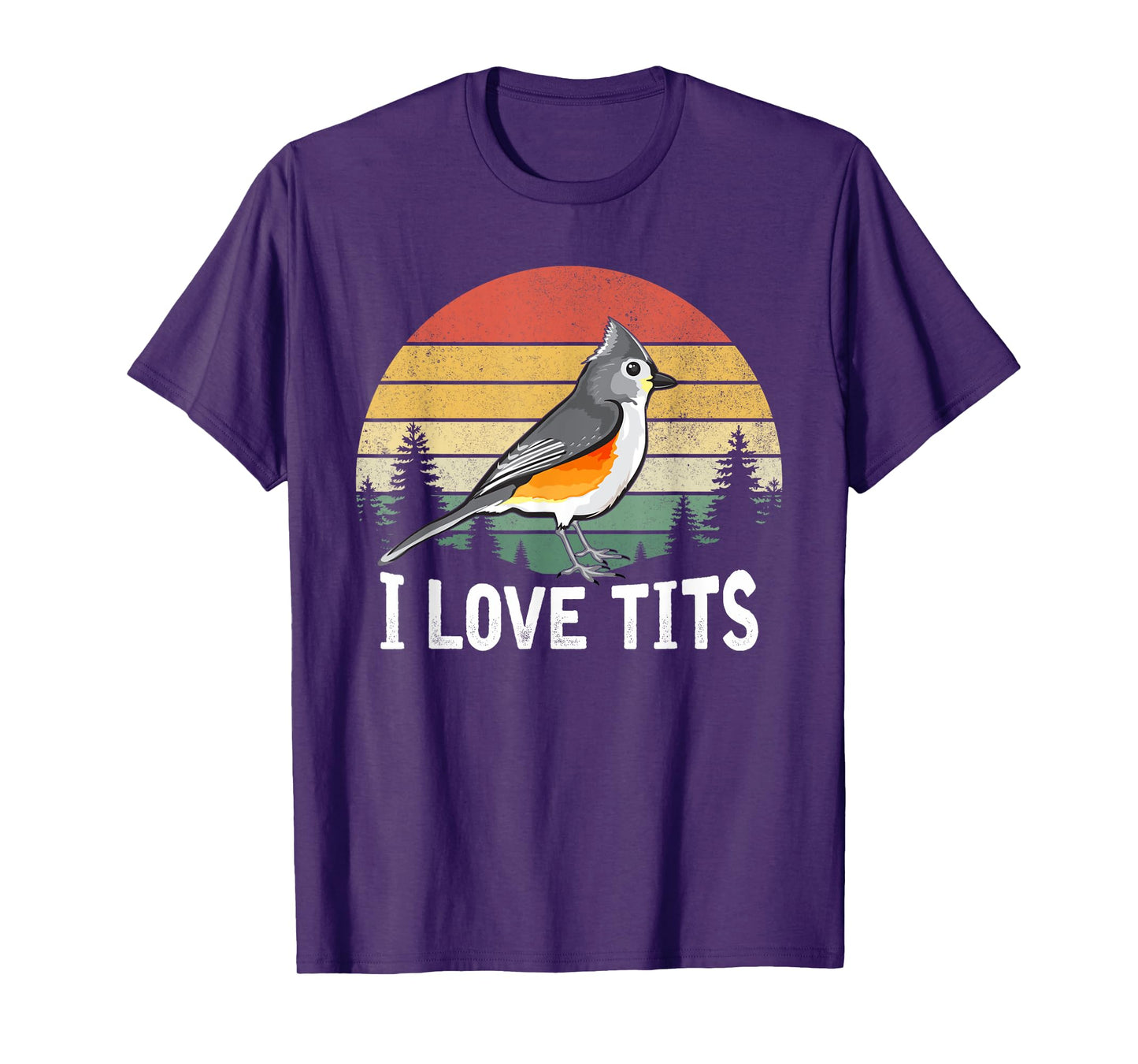 Retro Tufted Titmouse Bird Sunset Gift Funny T-Shirt