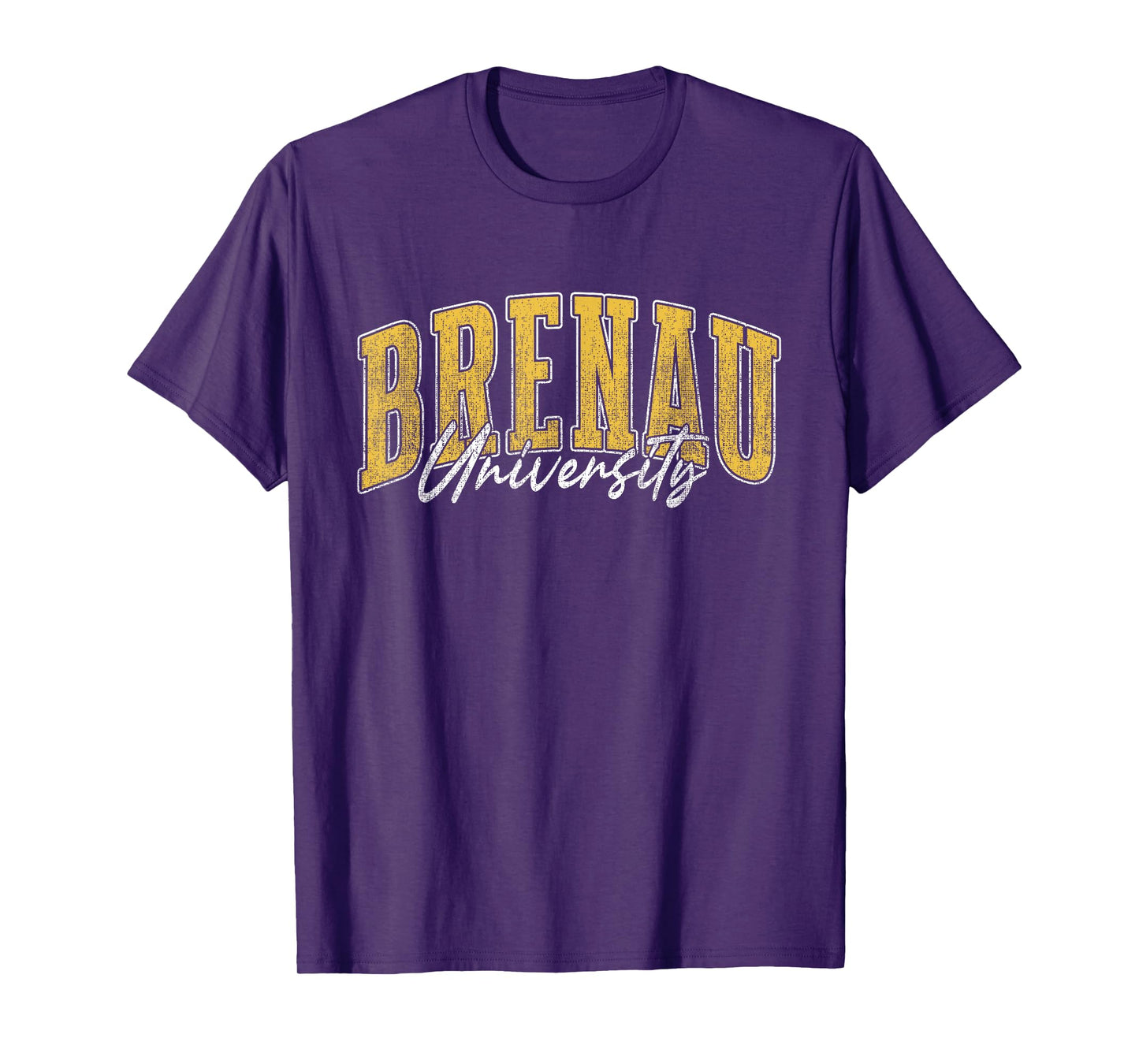 Brenau Institute of Technology Arch Vintage for Men Women T-Shirt