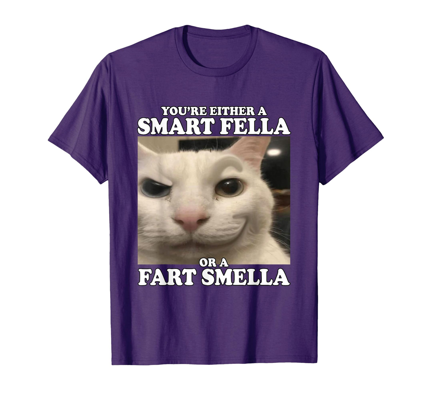 You're Either A Smart Fella Or A Fart Smella Funny Cat Meme T-Shirt
