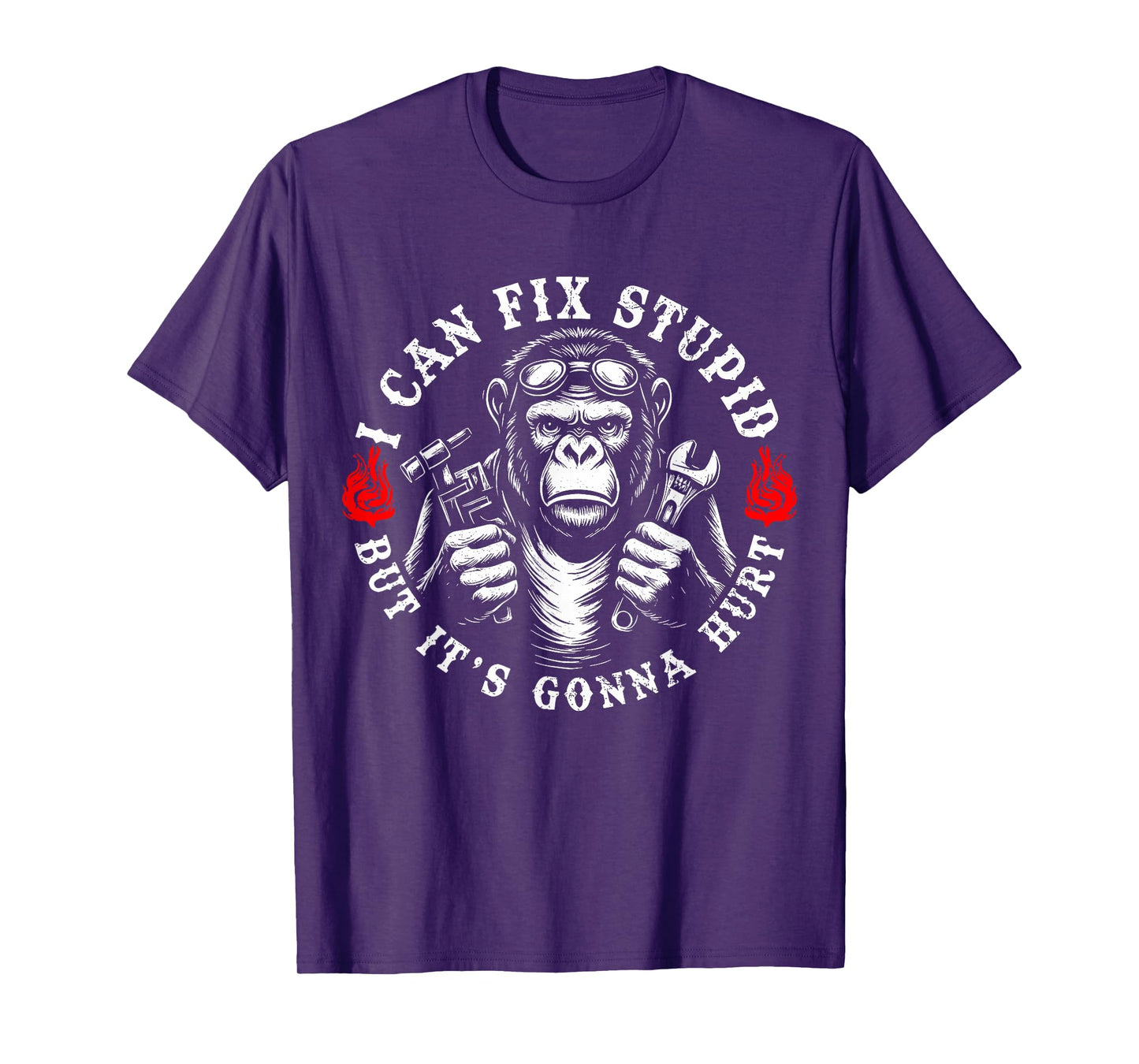 I Can Fix Stupid But It's Gonna Hurt Funny T-Shirt