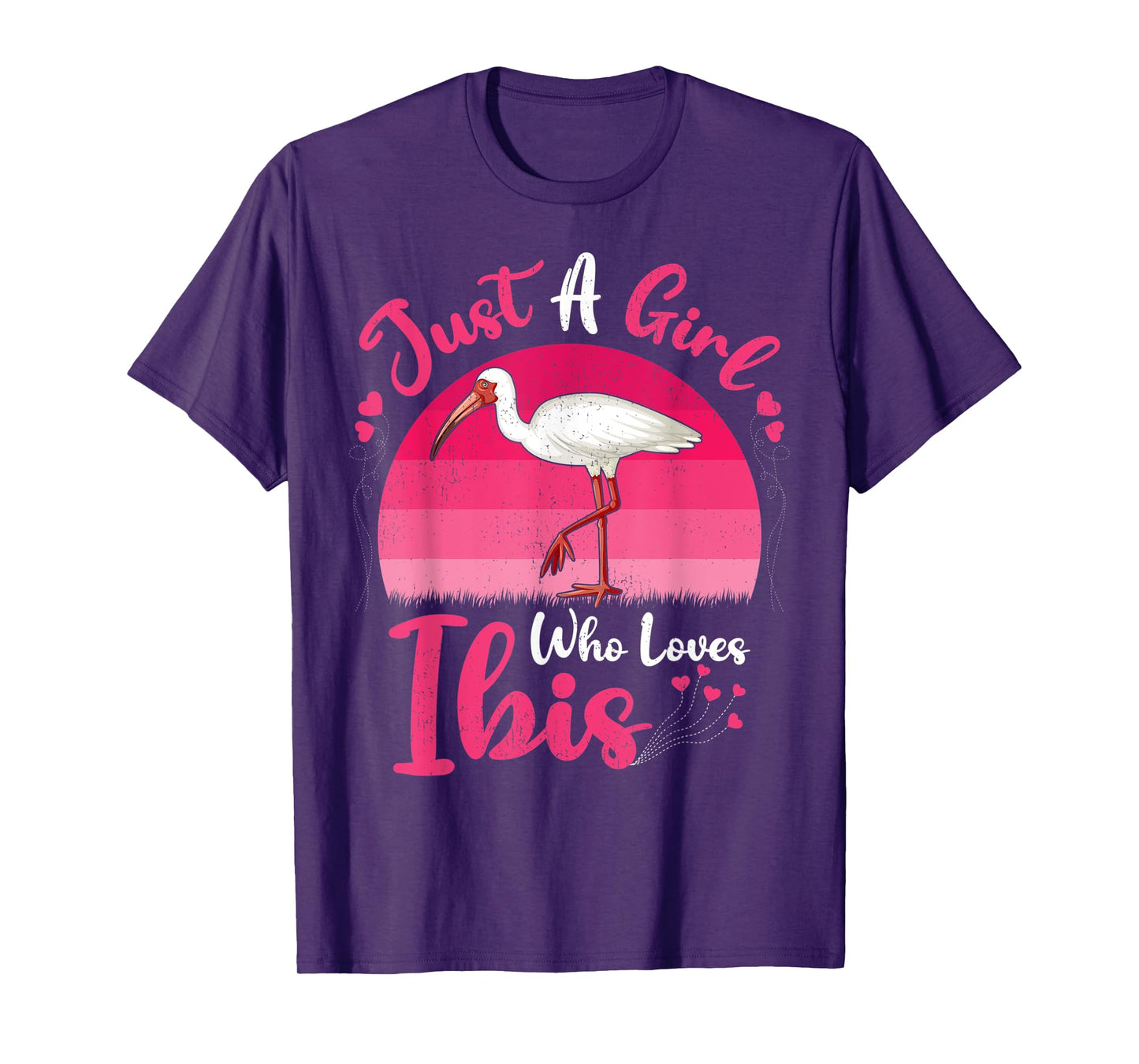 Vintage Ibis Bird Lover Just A Girl Who Loves Ibis T-Shirt