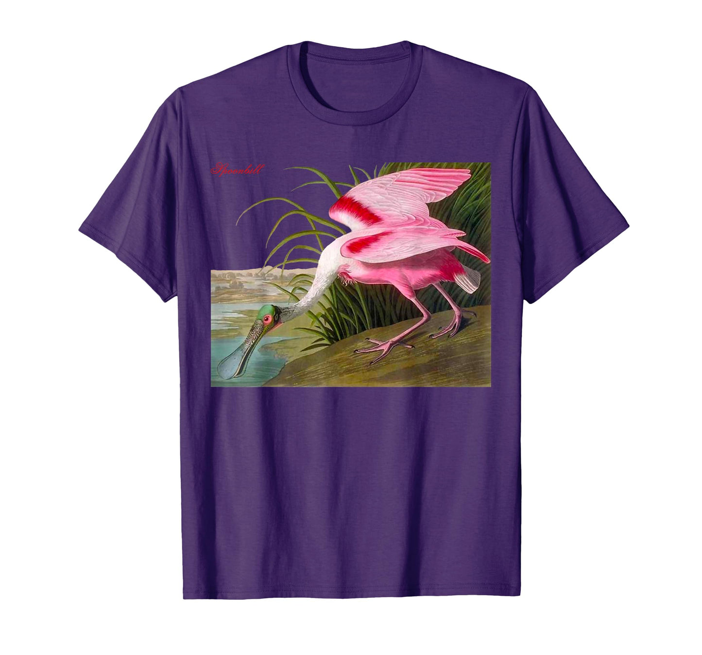 Audubon Spoonbill North American Birds Education Nature T-Shirt