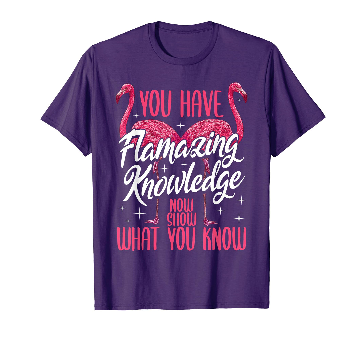 Test Day Teacher You Have Flamazing Knowledge Flamingo T-Shirt