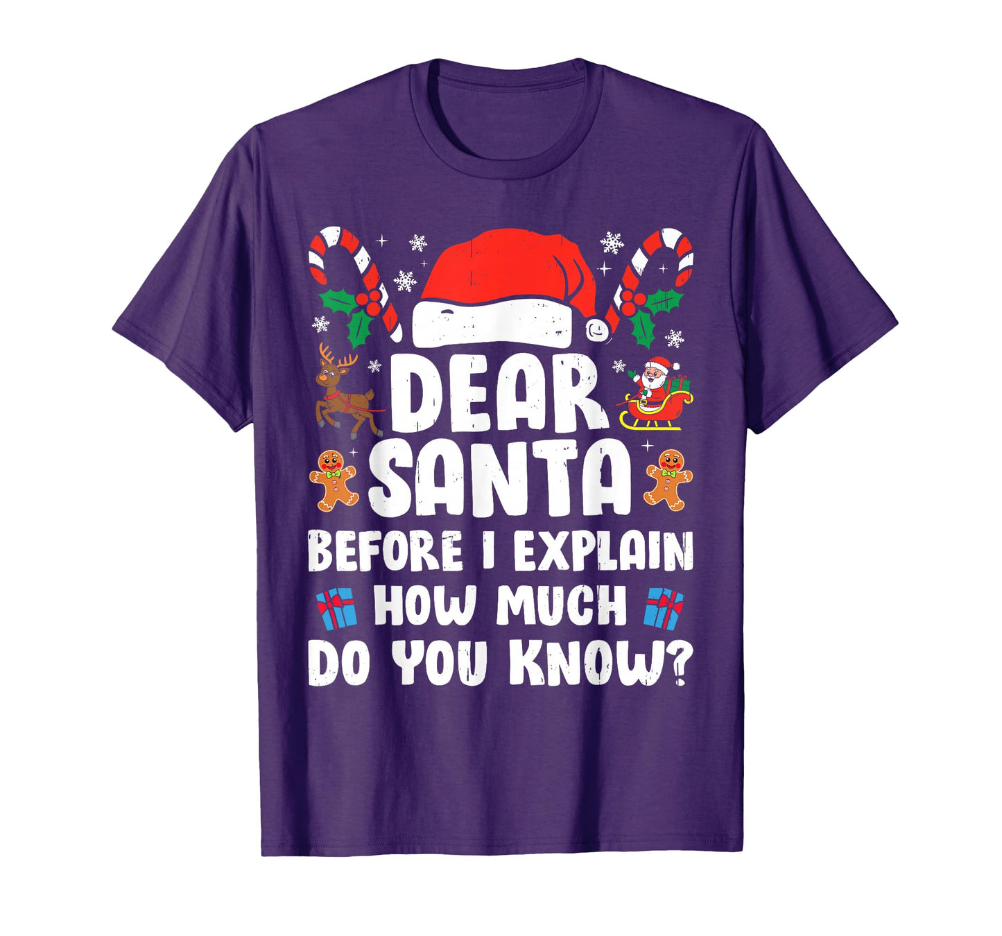 Dear Santa I Can Explain Funny Christmas Xmas Men Women Kids T-Shirt