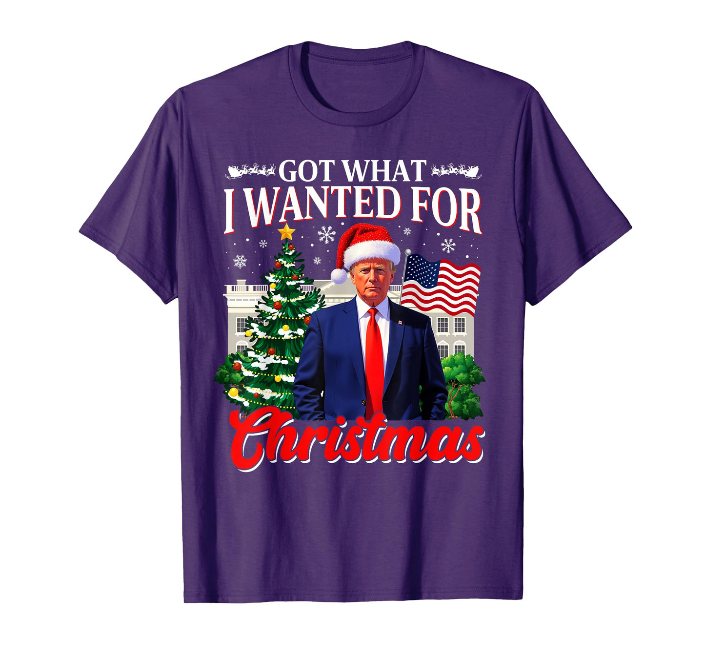 Got What I Wanted For Christmas Donald Trump 47th President T-Shirt