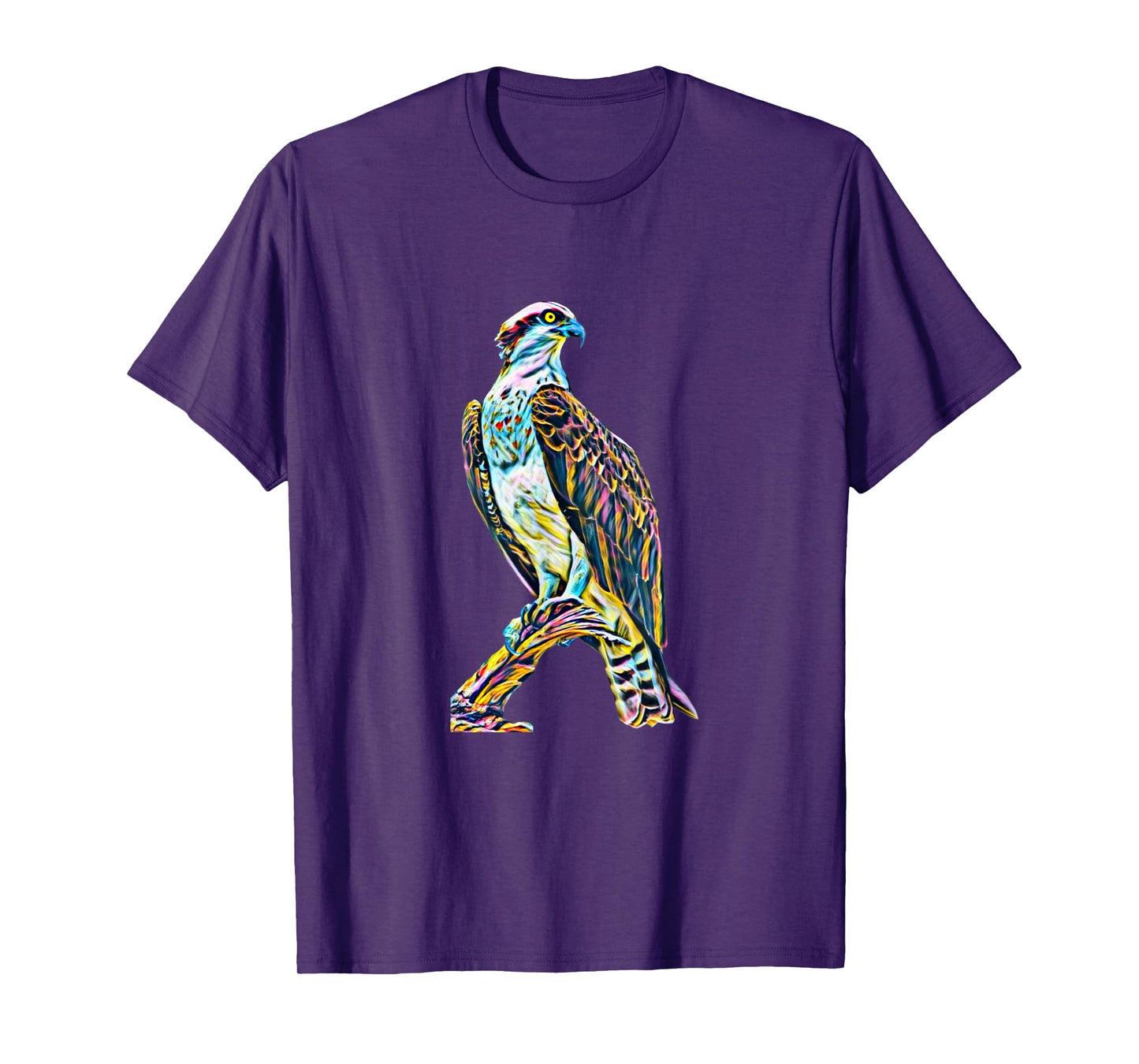 Hawk Bird of Prey Motif Beak Claws Birds colorful Falcon T-Shirt