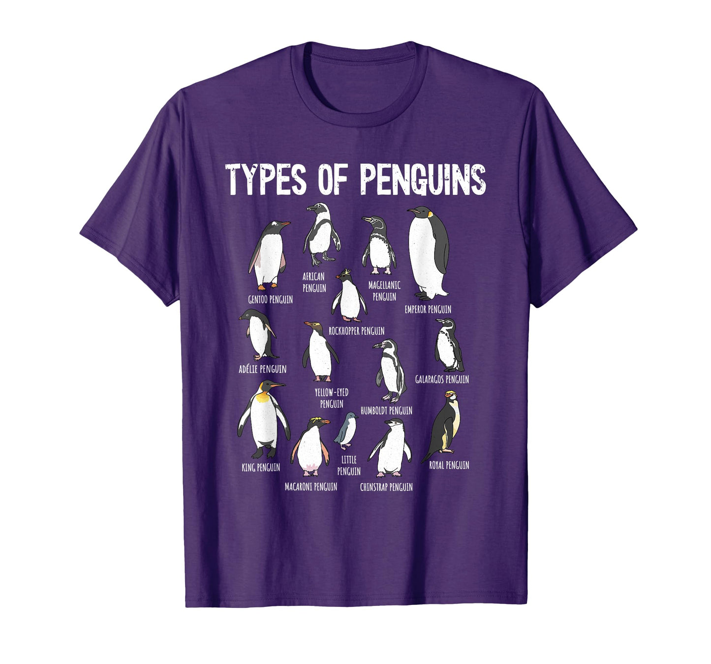 Penguin Types, Penguin Lover Art, Bird Lover, Penguin T-Shirt
