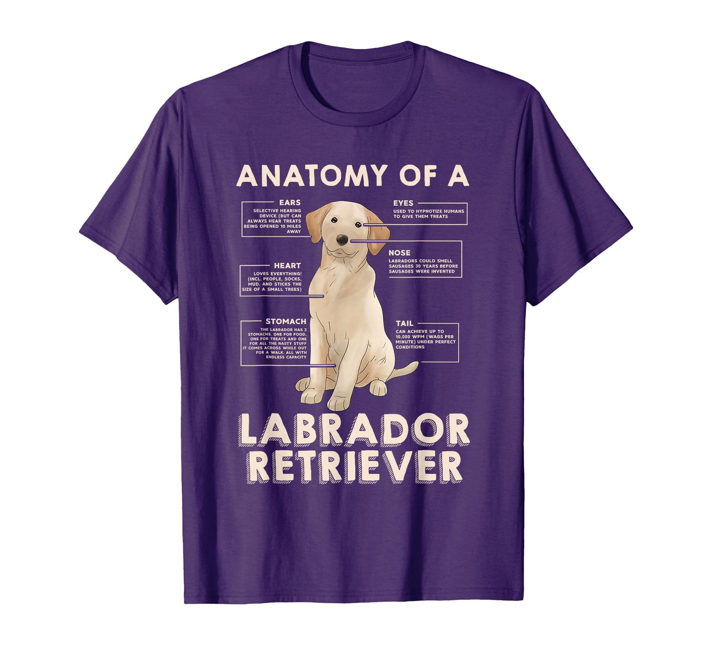 Funny Anatomy of a Labrador Retriever Graphic with Saying T-Shirt