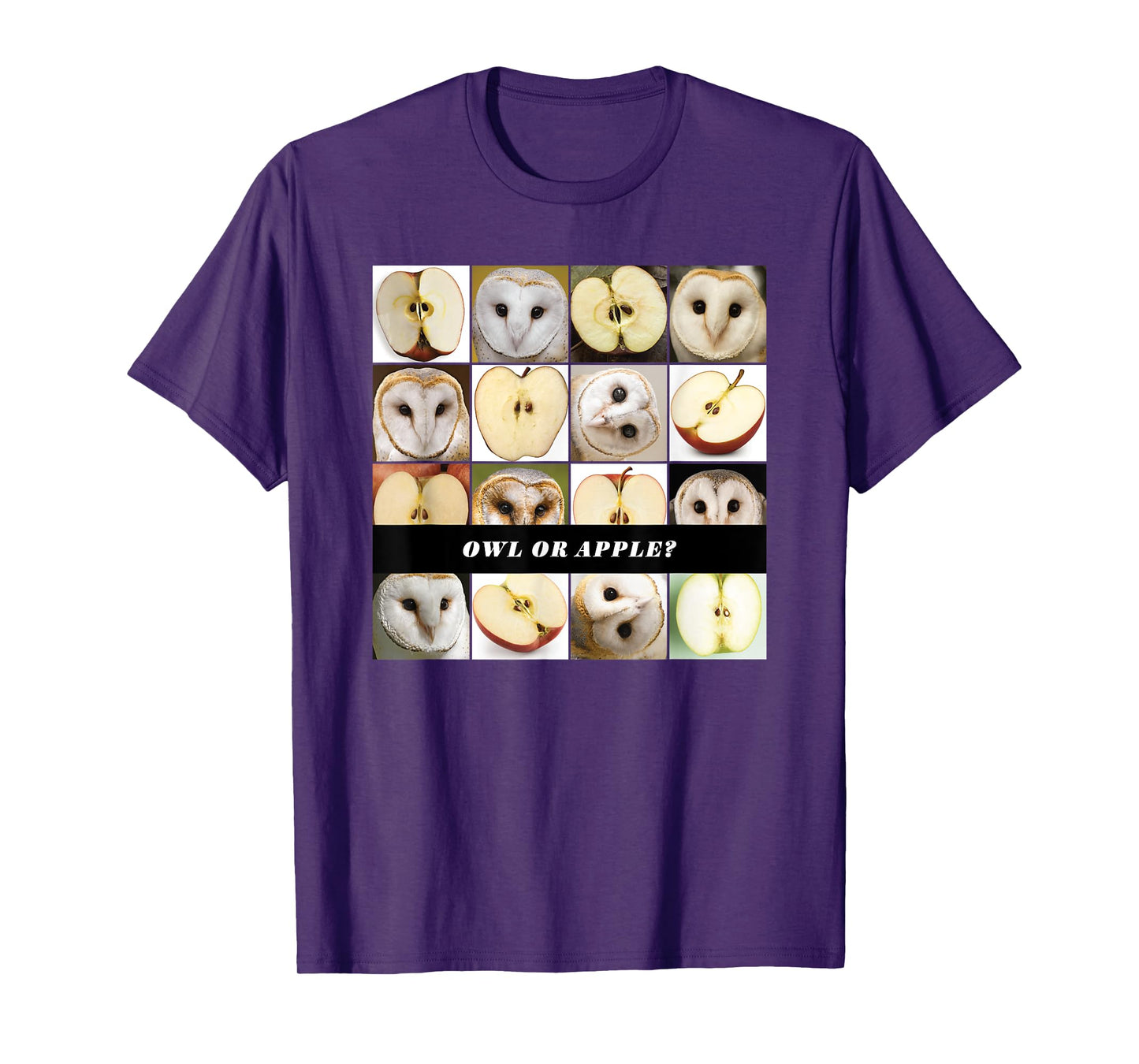 Barn Owl or Apple? AI Machine Learning Food or Object Meme T-Shirt