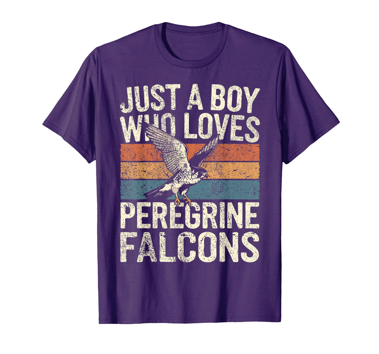 Falconer Boy Loves Peregrine Falcons Falconry T-Shirt