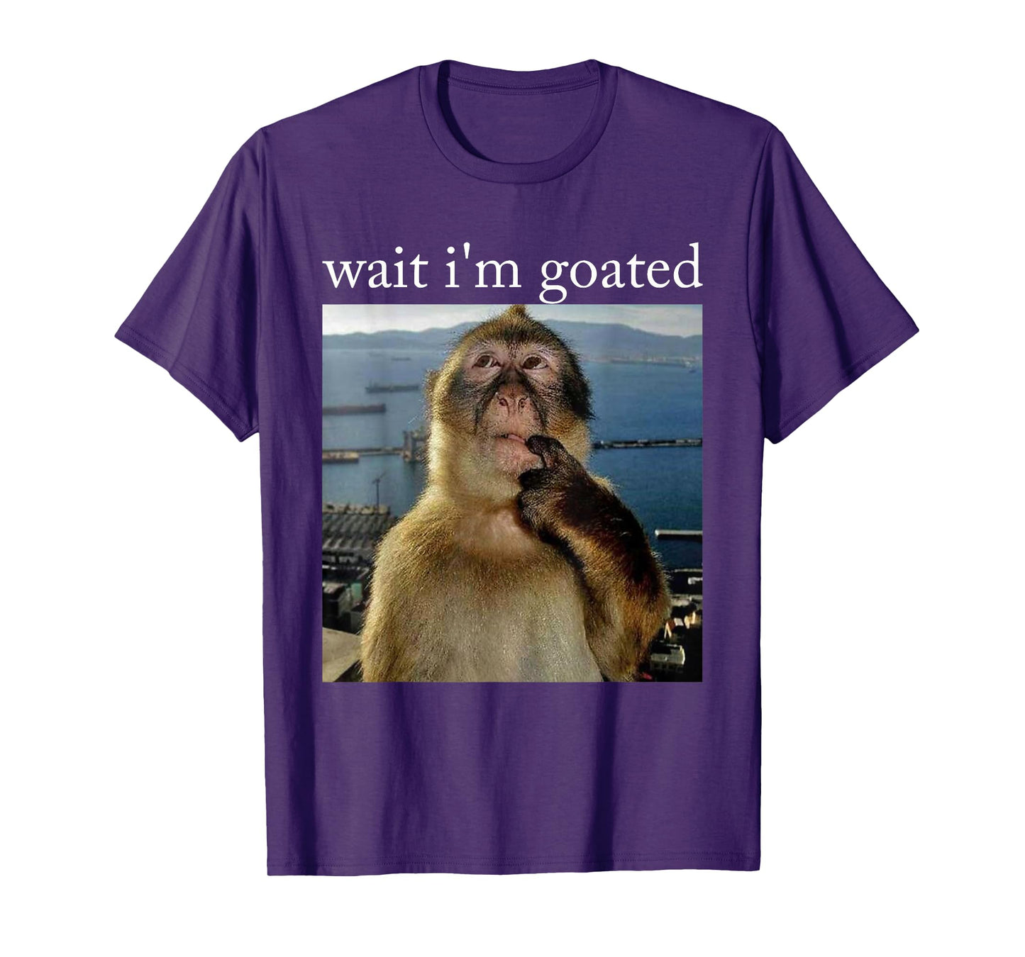 Wait I'm Goated Funny Thinking Monkey Meme Brainrot Gift T-Shirt