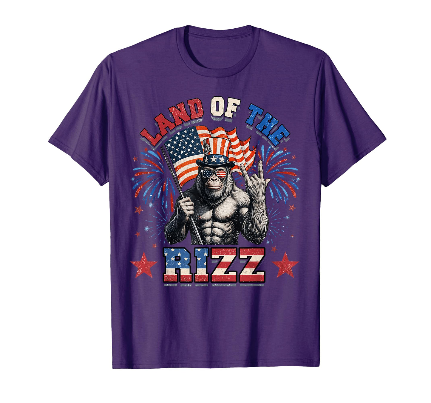 Land Of The Rizz 4th Of July T-Shirt