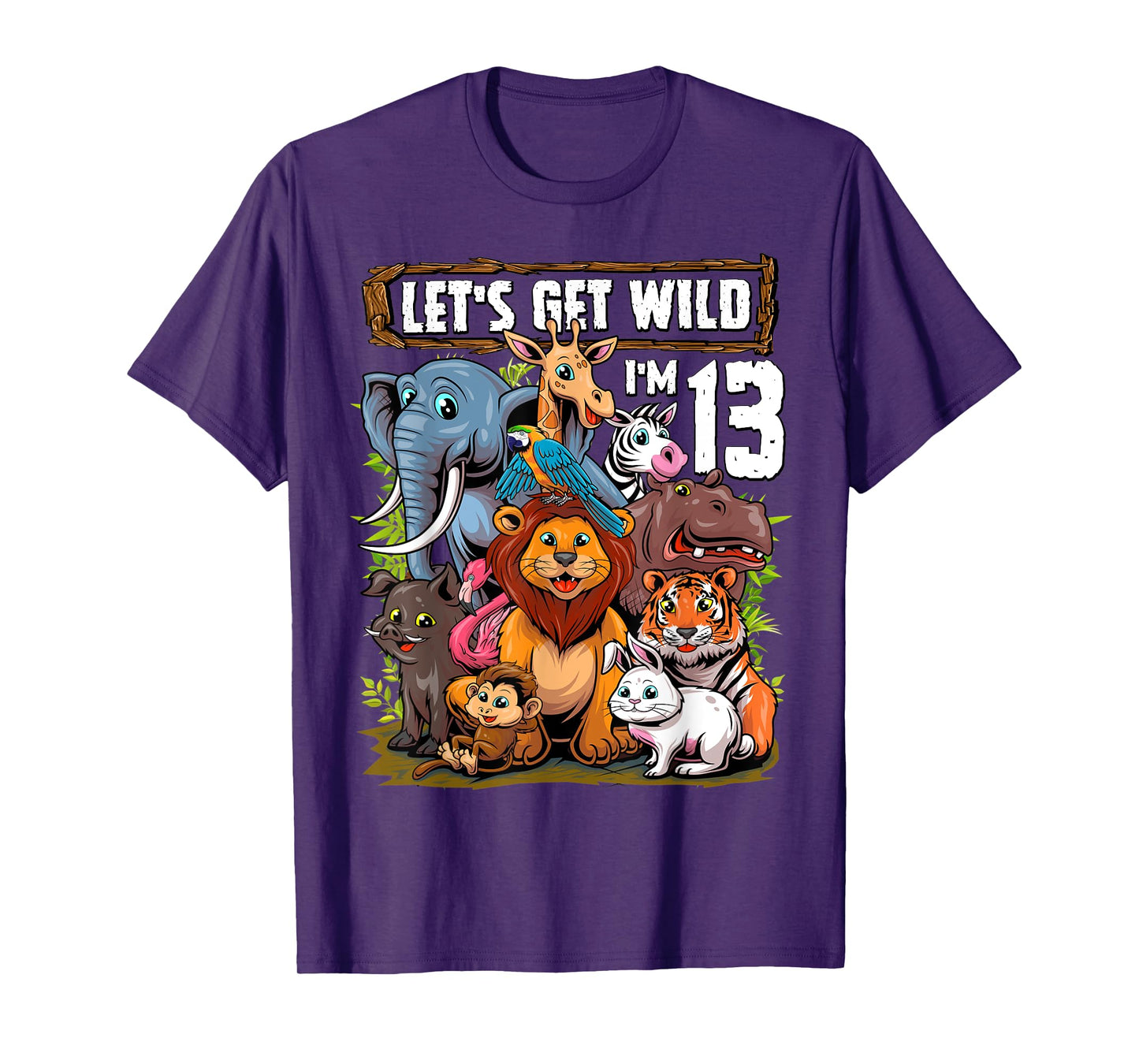 13 Year Old Zoo Birthday Safari Jungle Animals 13th Birthday T-Shirt