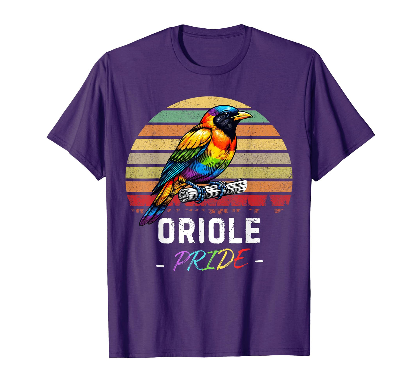Oriole Bird Pride Day LGBTQ Gay Lesbian Vintage Retro Oriole T-Shirt