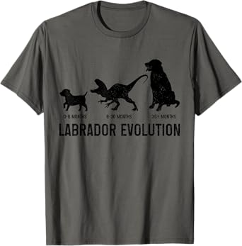 Labrador Evolution Funny Labrador Retriever Mom Dad Dog T-Shirt