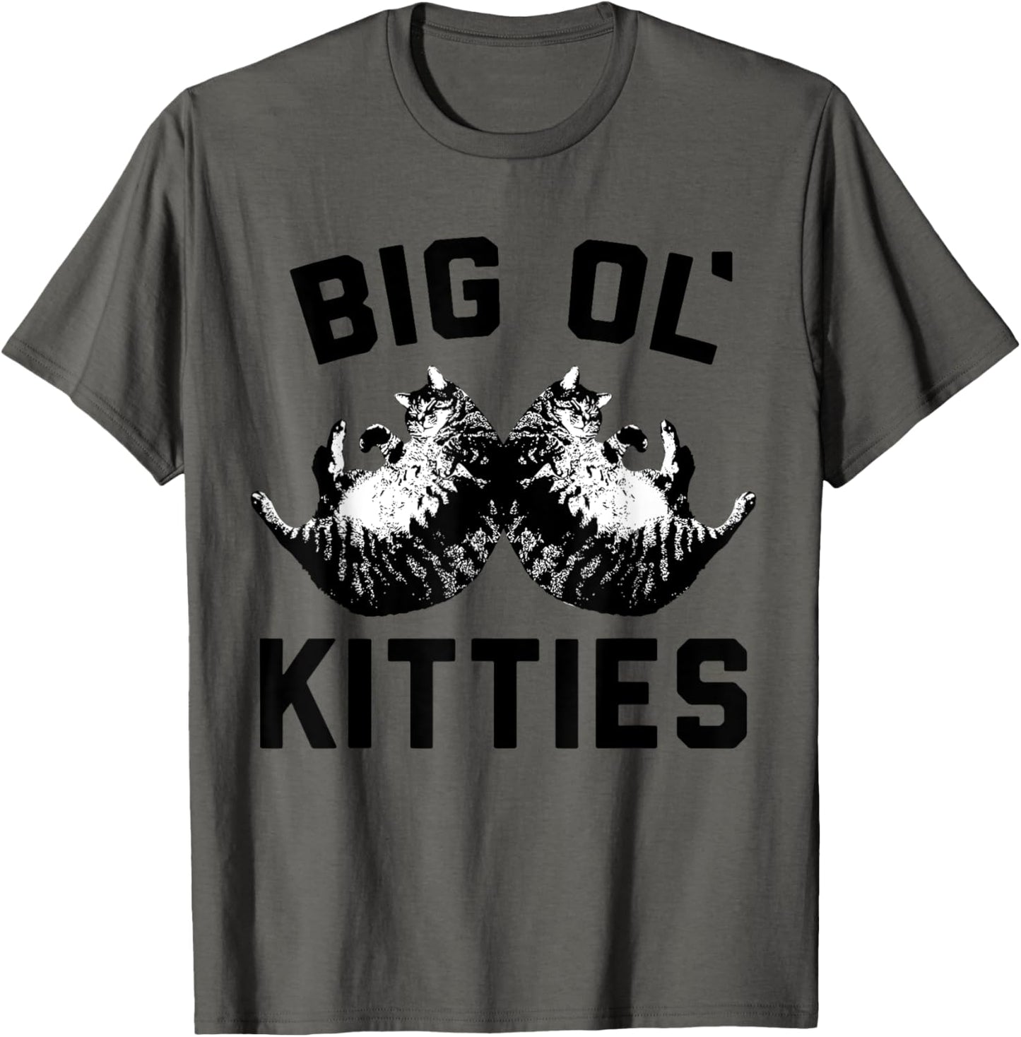 Cat Big Ol Kitties Cat Lover T-Shirt