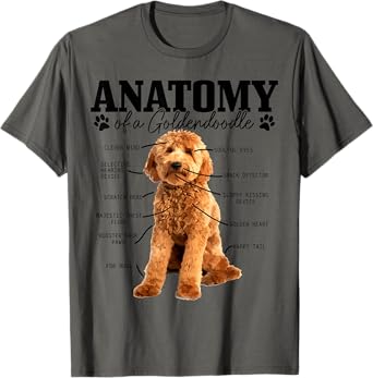 Anatomy Of A Goldendoodle Funny Cute Dog Doodle Mom Dad T-Shirt for Men Women Kids