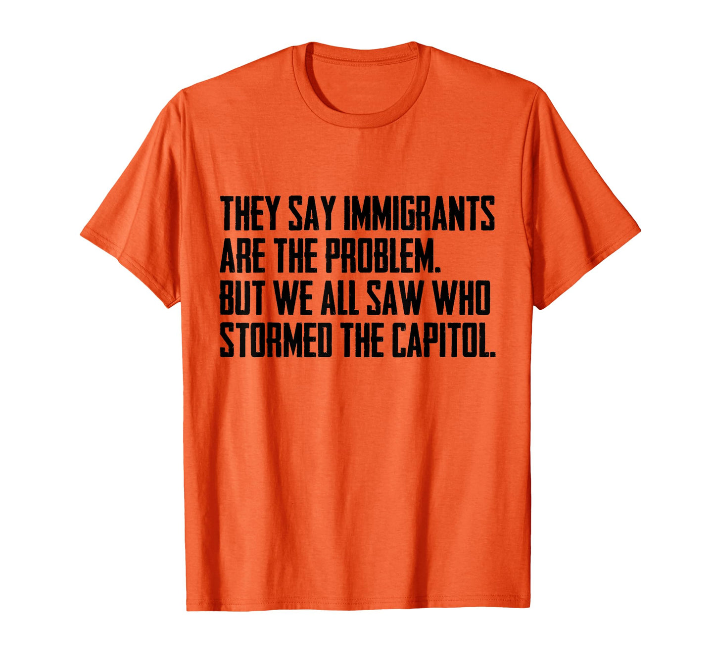 They Say Immigrants Are The Problem But We All Saw Stormed T-Shirt