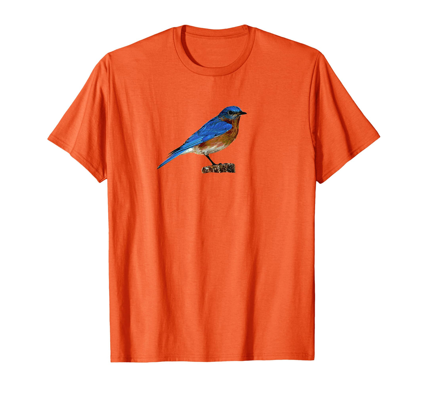 Eastern Bluebird Shirt, Birder Shirt, Ornithologist T-Shirt