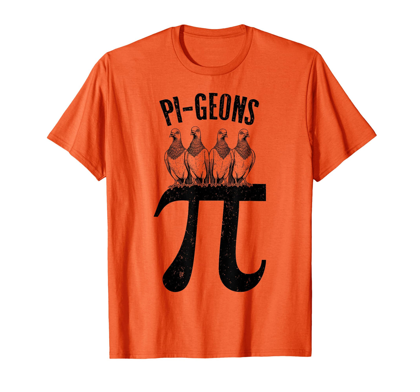 Pi Day Pi-Geons Funny Pigeon Bird Math Teacher Mathematics T-Shirt