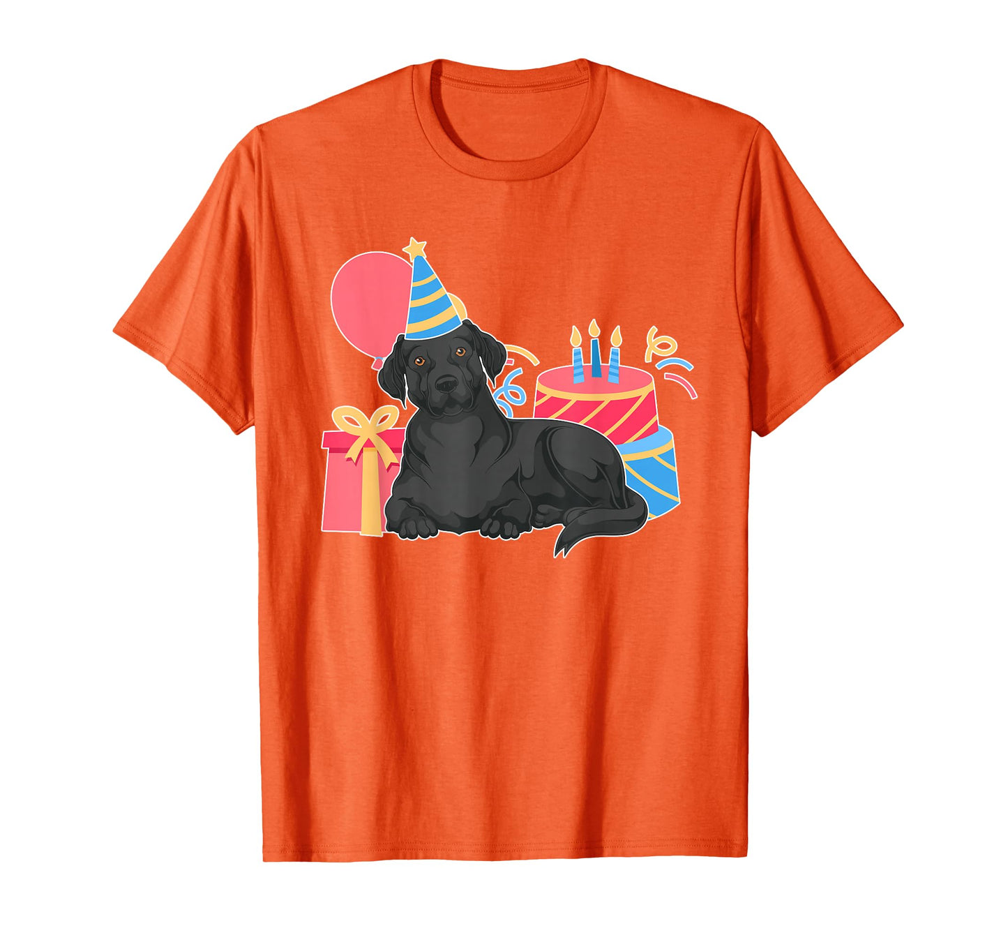 Black Labrador Lover Dog Owner Kids Birthday Party Black Lab T-Shirt