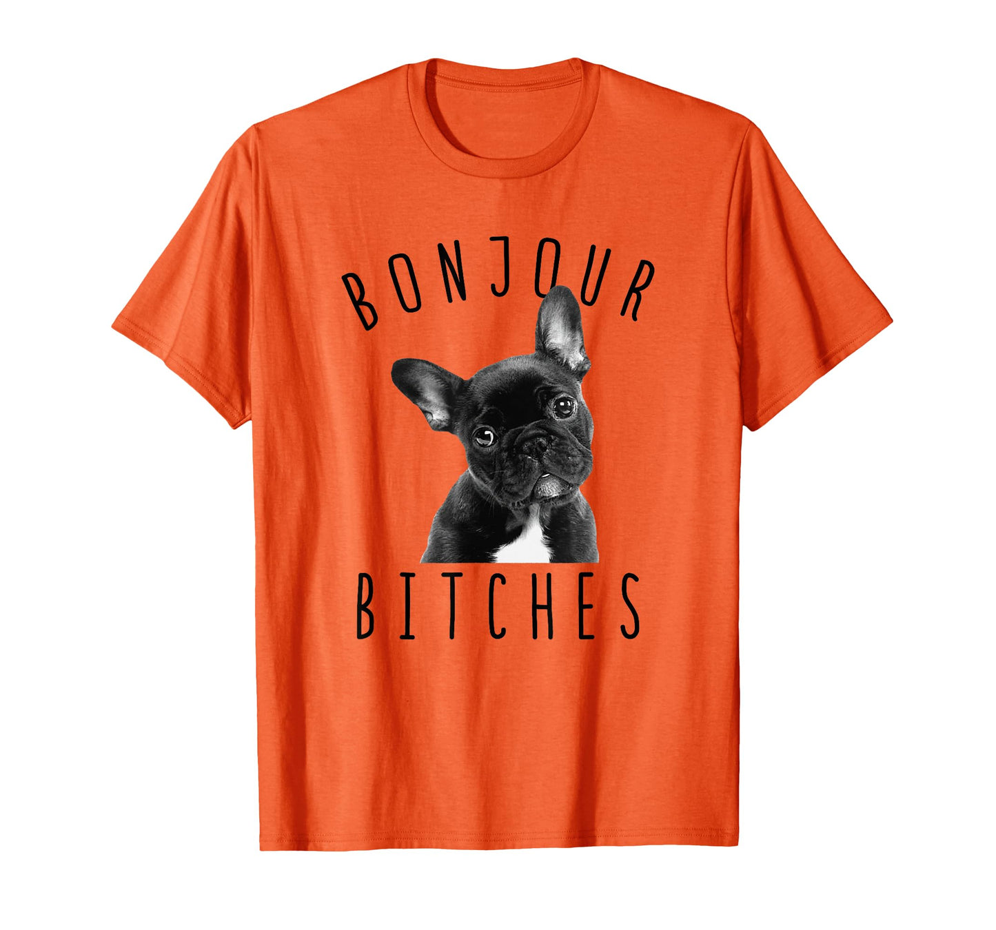 Bonjour Bitches Funny French Bulldog Dog Lover Gift Men Women T-Shirt