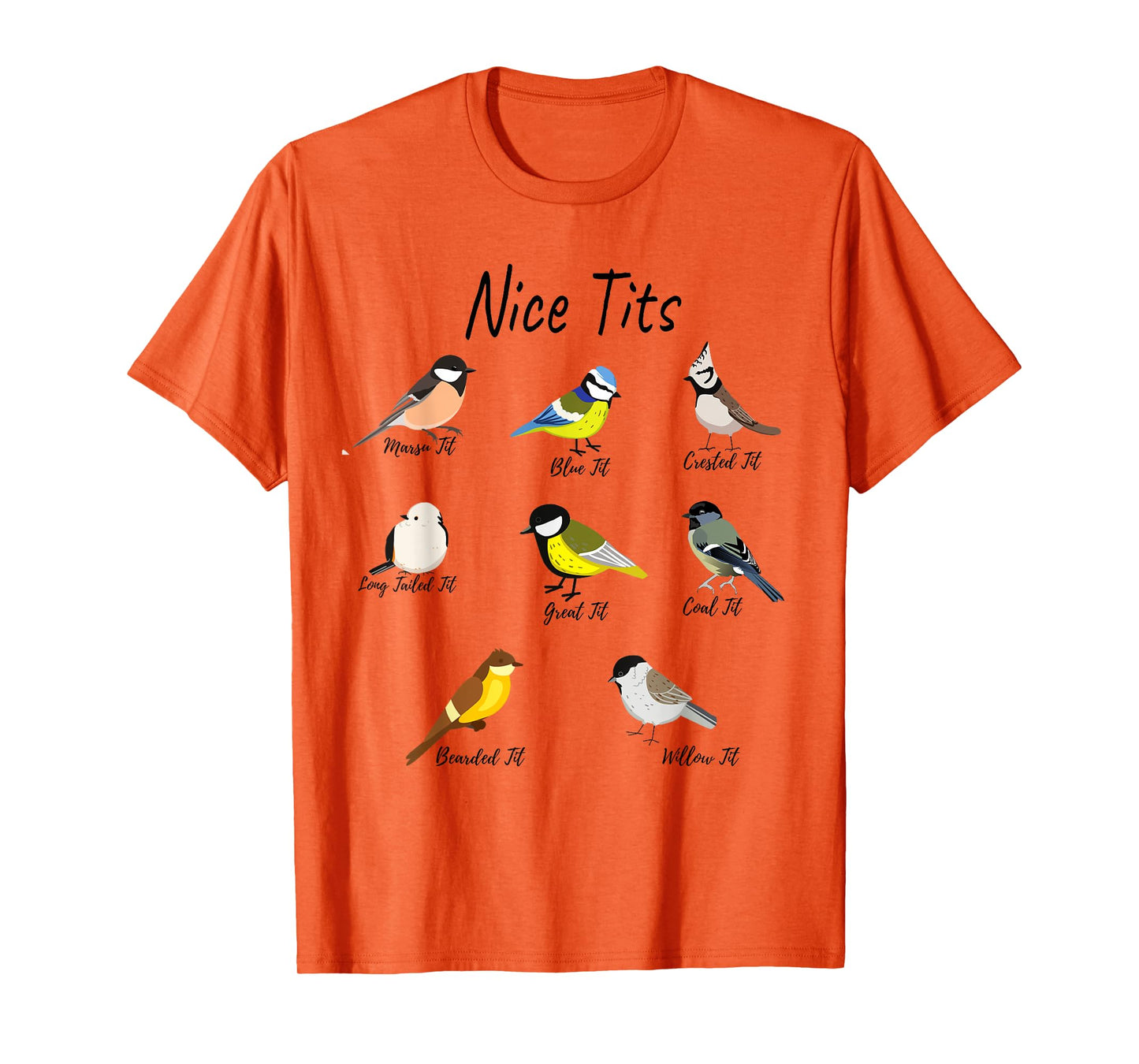 Funny Nice Tits Birds Birdwatcher, Bird Watching, tits bird T-Shirt, Small, White