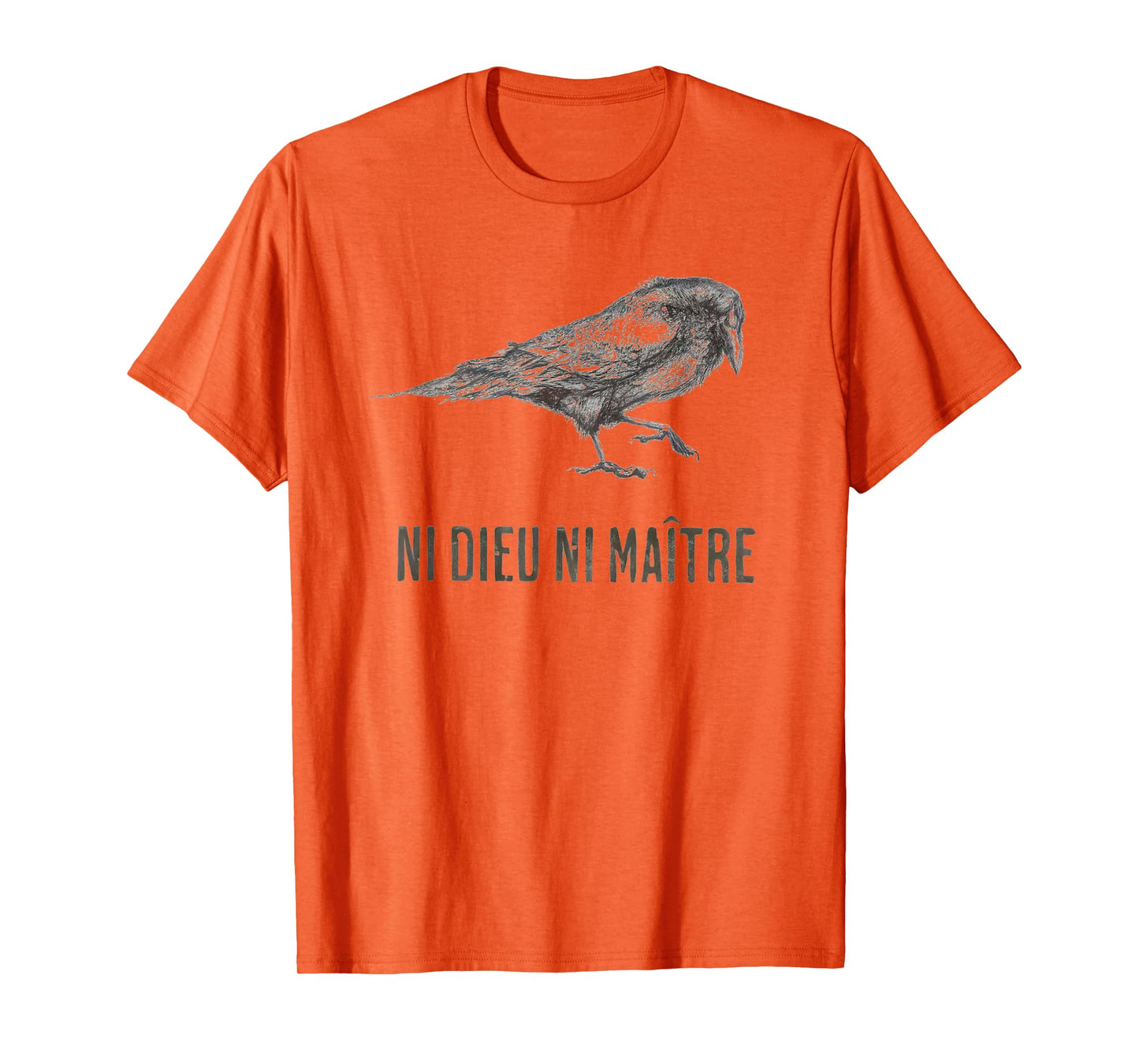 No God No Masters Leftist French Anarchist Crow Bird, Raven T-Shirt