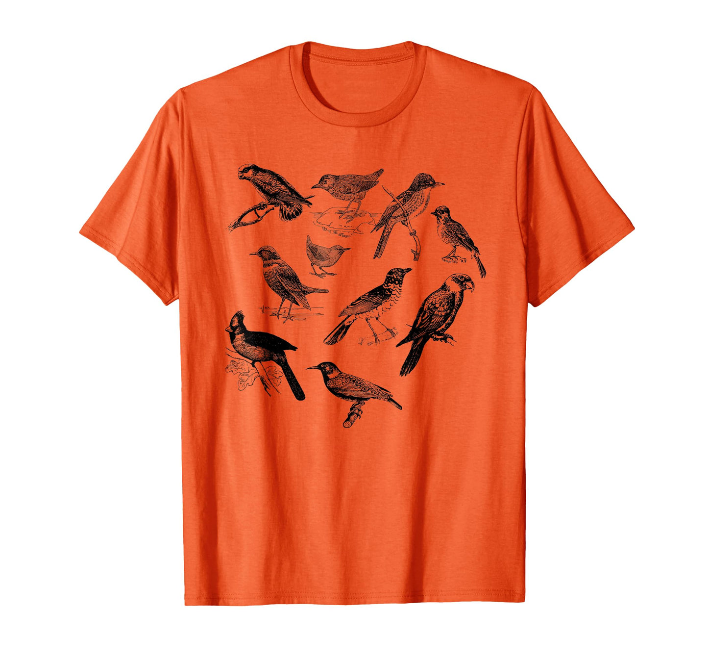 Bird Collection of Different Types T-shirt T-Shirt