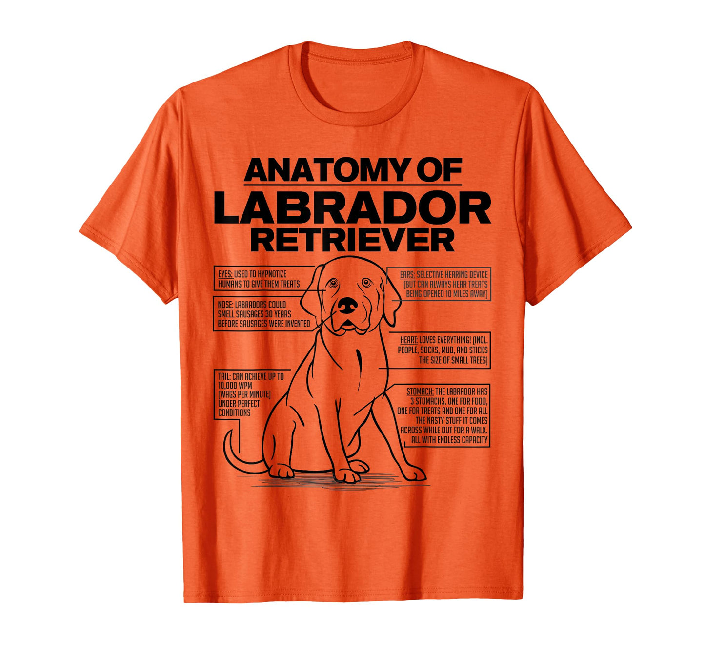 Anatomy of a Labrador Retriever Funny Dog owner gifts shirt T-Shirt