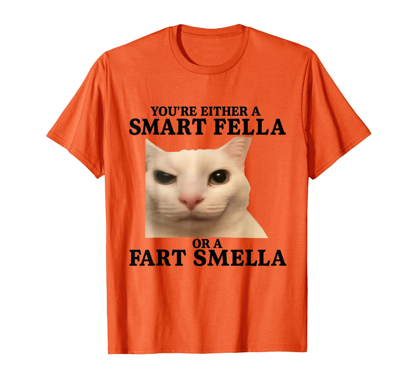 Funny You're Either a Smart Fella or a Fart Smella Cat Quote T-Shirt