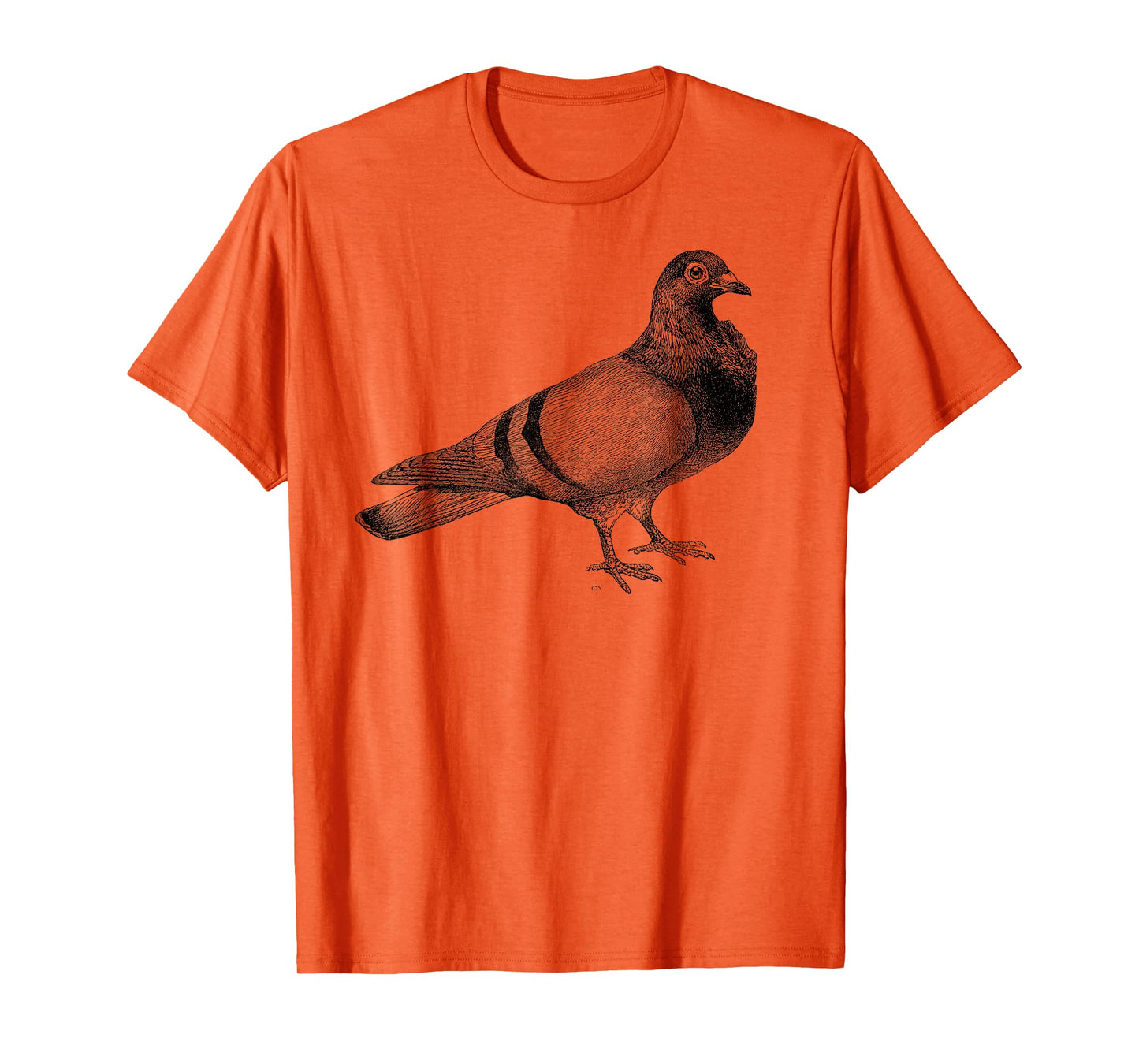Big Texas Vintage Pigeon Illustration T-Shirt T-Shirt