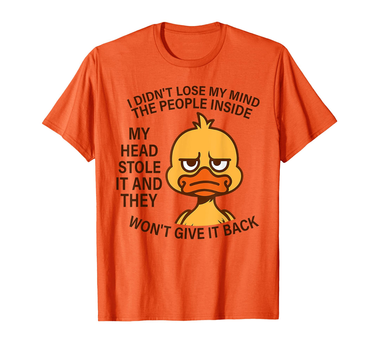 I Didn't Lose My Mind The People Inside My Head Stole It T-Shirt