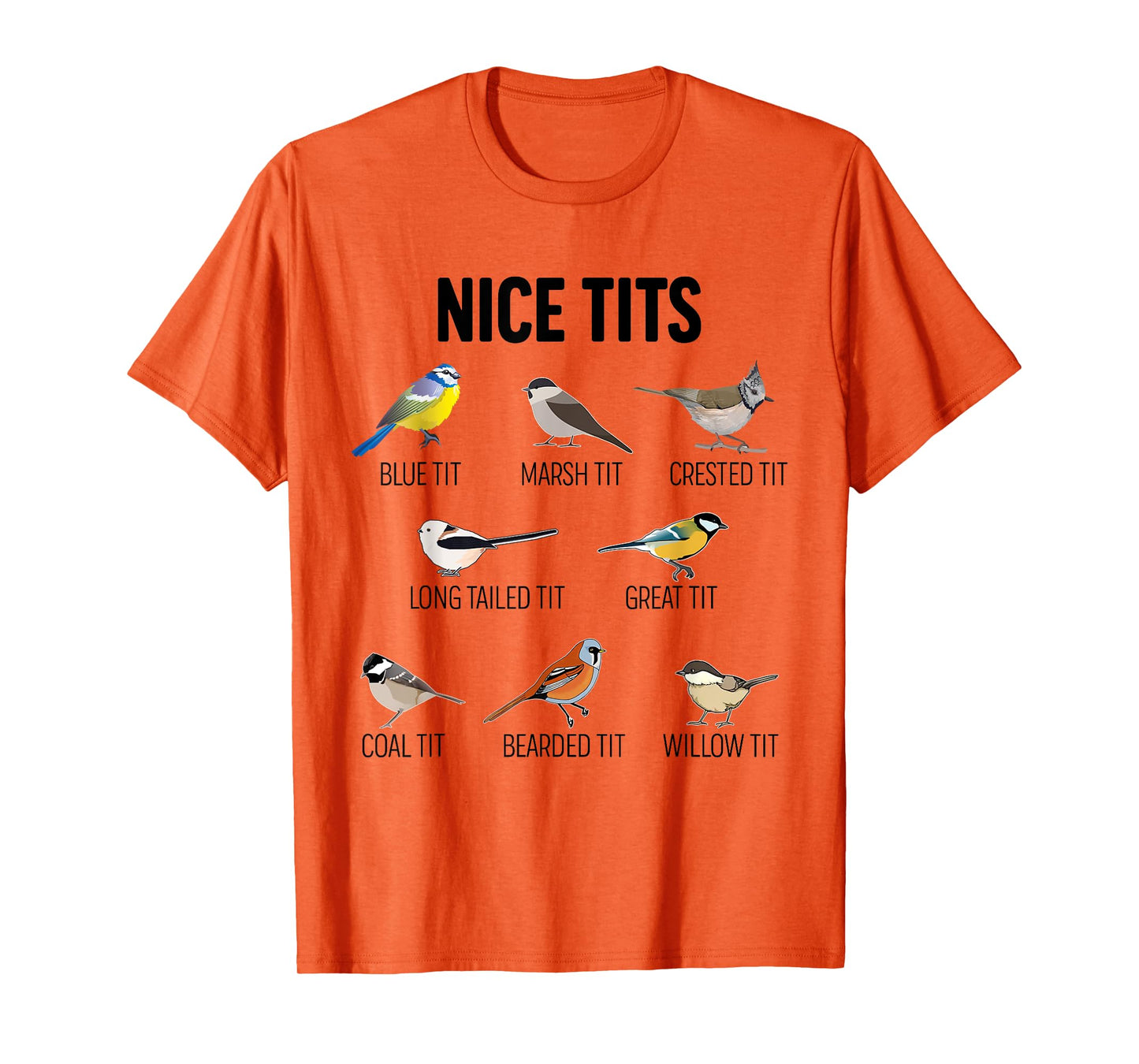 Nice Tits Pun Joke Funny Bird Lover Enthusiast Birdwatcher T-Shirt
