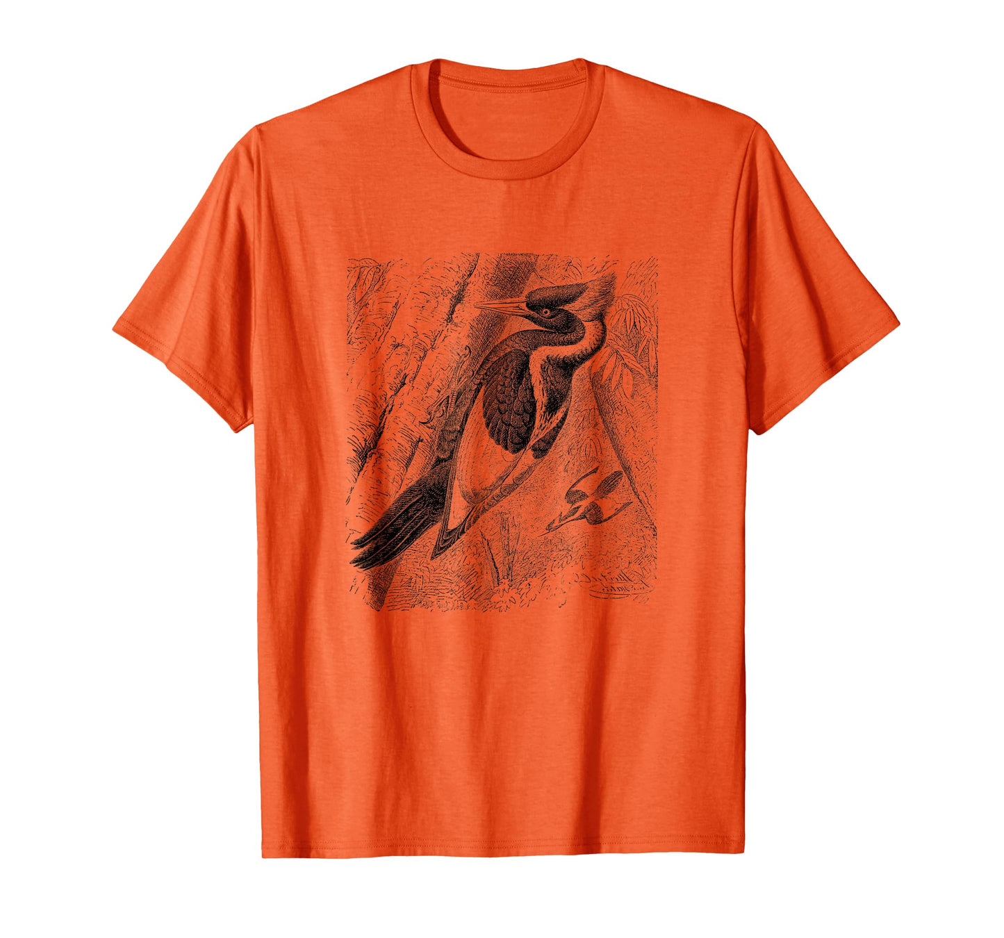 Ivory Billed Woodpecker Print T-Shirt T-Shirt