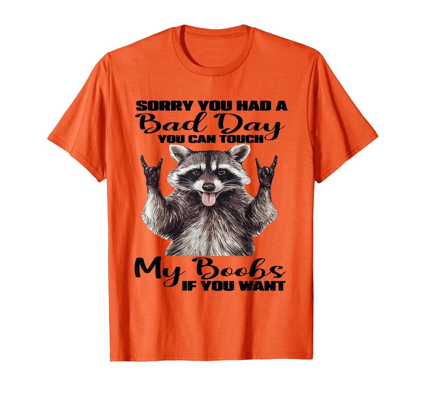 Raccoon Sorry You Had A Bad Day You Can Touch My Boobs Funny T-Shirt